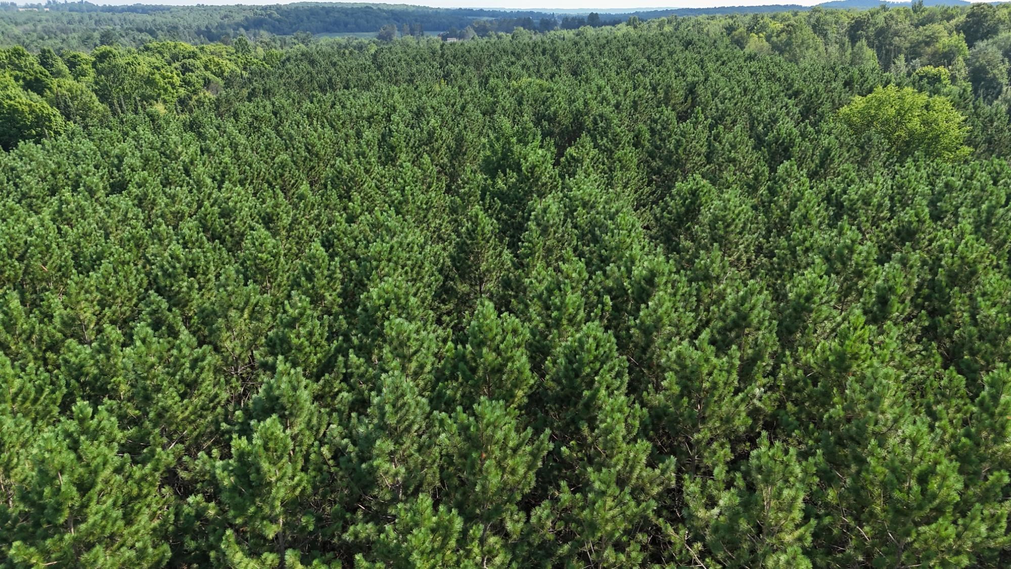 40 Ac SUNRISE ROAD, Merrill, Wisconsin 54452, ,Land,For Sale,40 Ac SUNRISE ROAD,22603705