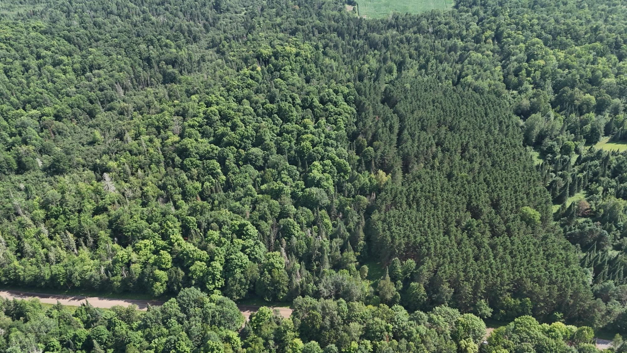 40 Ac SUNRISE ROAD, Merrill, Wisconsin 54452, ,Land,For Sale,40 Ac SUNRISE ROAD,22603705