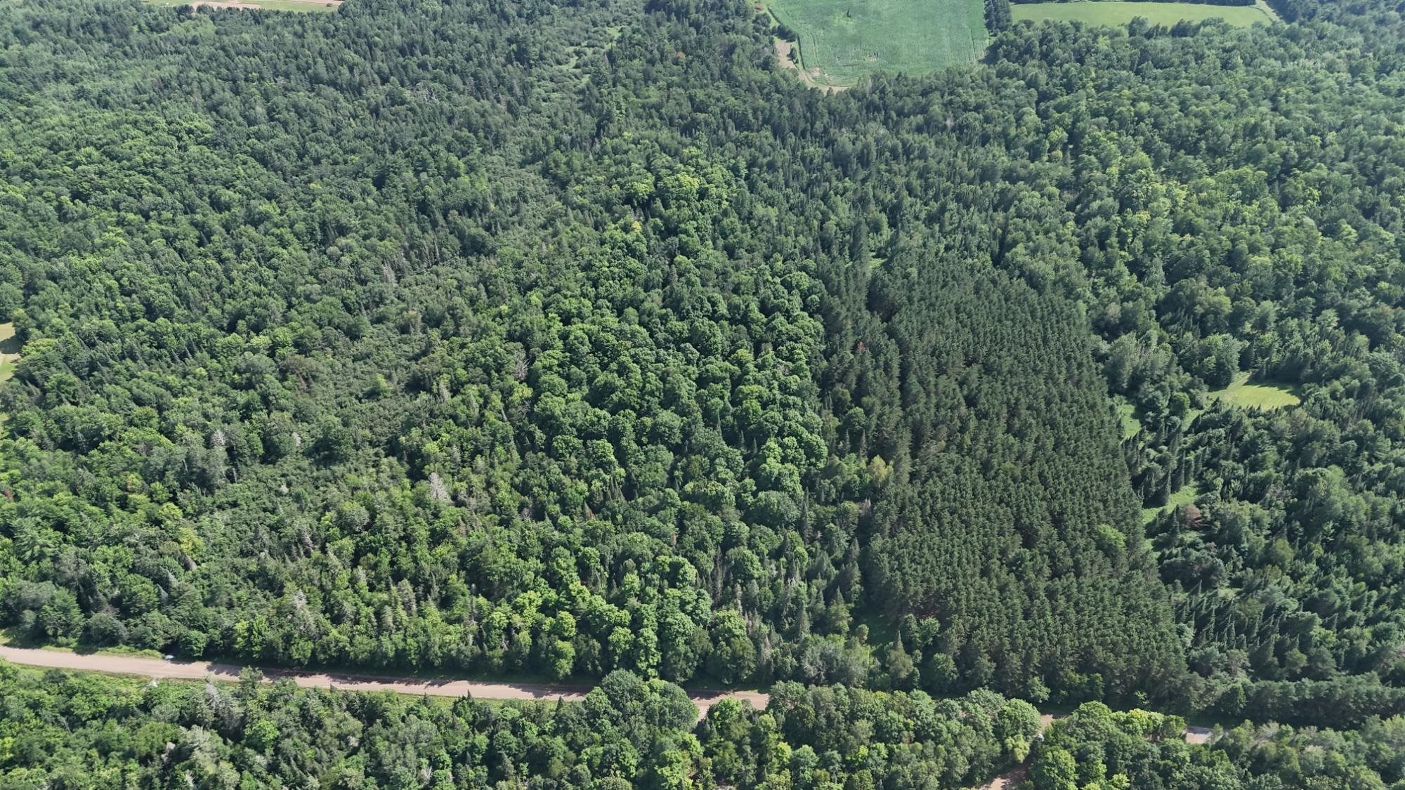 40 Ac SUNRISE ROAD, Merrill, Wisconsin 54452, ,Land,For Sale,40 Ac SUNRISE ROAD,22603705
