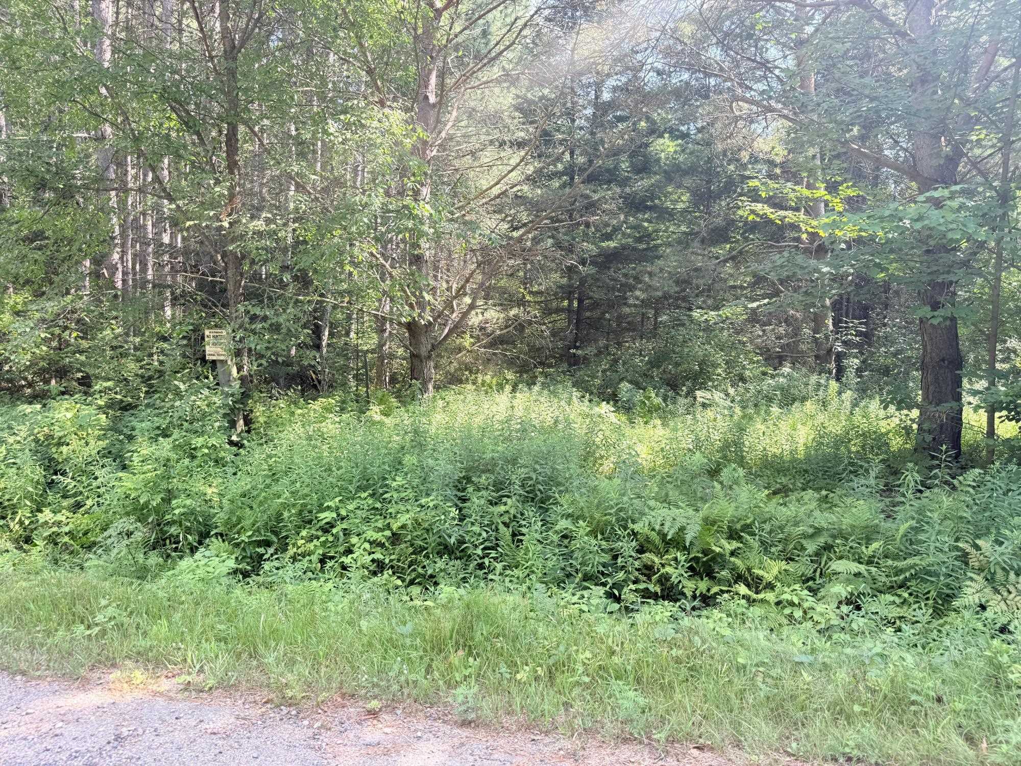 40 Ac SUNRISE ROAD, Merrill, Wisconsin 54452, ,Land,For Sale,40 Ac SUNRISE ROAD,22603705