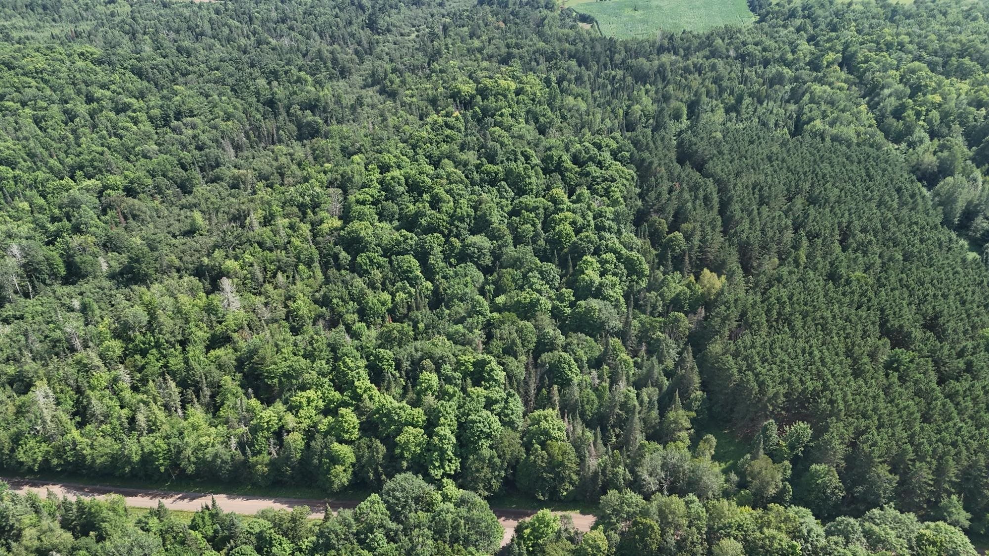 40 Ac SUNRISE ROAD, Merrill, Wisconsin 54452, ,Land,For Sale,40 Ac SUNRISE ROAD,22603705