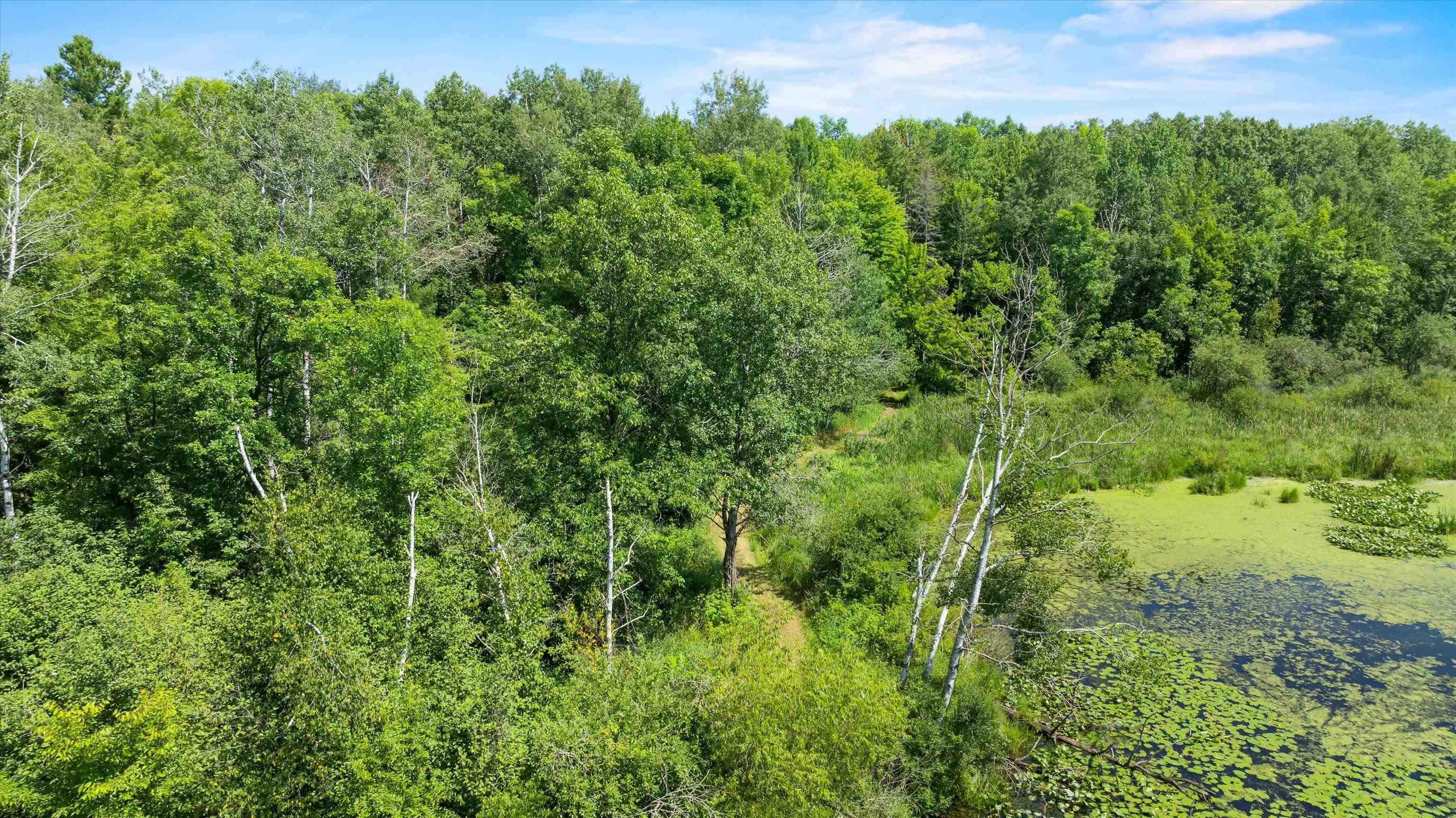 104097 STATE HIGHWAY 153, Spencer, Wisconsin 54479, 3 Bedrooms Bedrooms, ,2 BathroomsBathrooms,Residential,For Sale,104097 STATE HIGHWAY 153,22603717