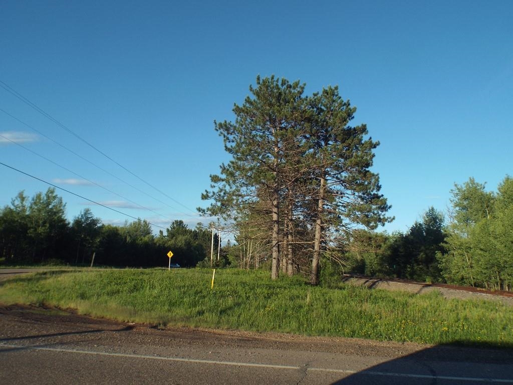 ON HIGHWAY 32, Argonne, Wisconsin 54511, ,Land,For Sale,ON HIGHWAY 32,22603721