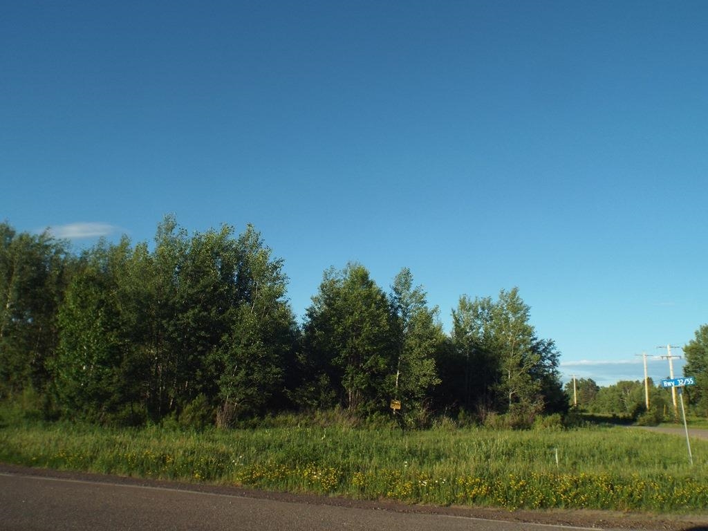 ON HIGHWAY 32, Argonne, Wisconsin 54511, ,Land,For Sale,ON HIGHWAY 32,22603721
