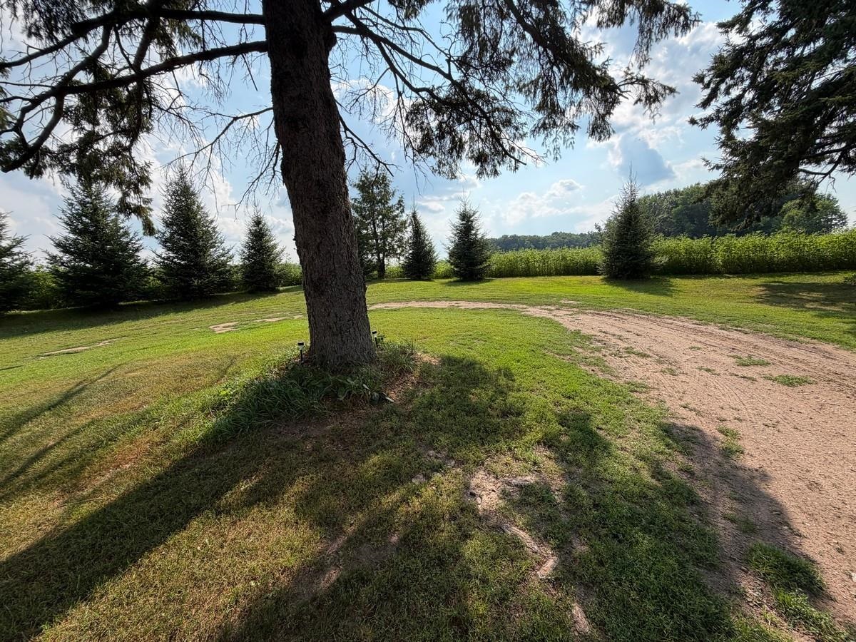 182347 BIRNAMWOOD ROAD, Birnamwood, Wisconsin 54414, 4 Bedrooms Bedrooms, ,2 BathroomsBathrooms,Residential,For Sale,182347 BIRNAMWOOD ROAD,22603751