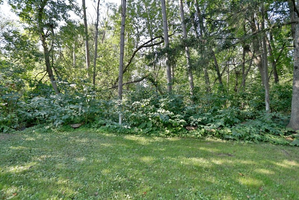 317 IMM STREET, Wausau, Wisconsin 54401, 3 Bedrooms Bedrooms, ,1 BathroomBathrooms,Residential,For Sale,317 IMM STREET,22603756