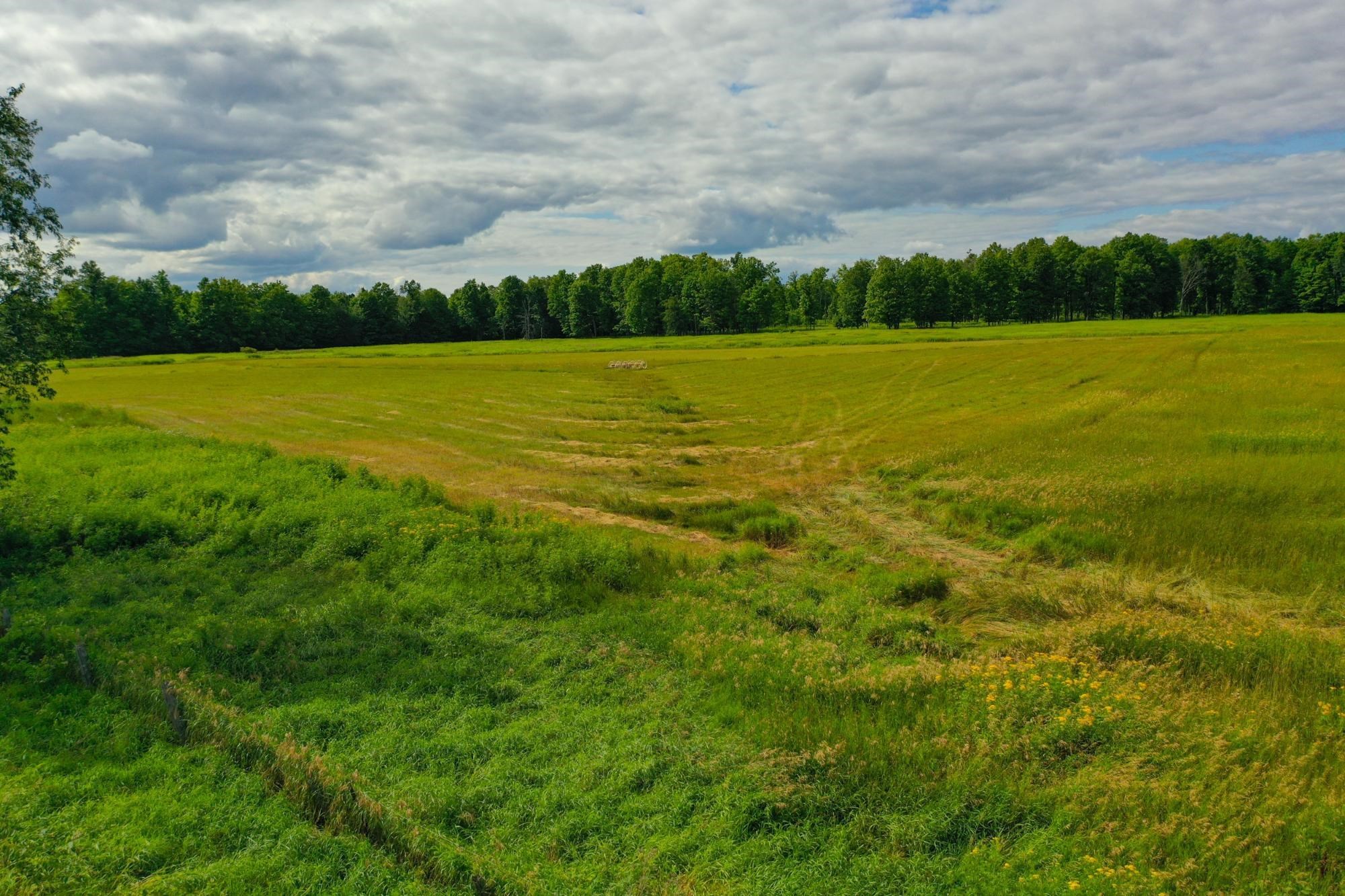 29.34 ACRES STATE HIGHWAY 55, Pickerel, Wisconsin 54465, ,Land,For Sale,29.34 ACRES STATE HIGHWAY 55,22603773