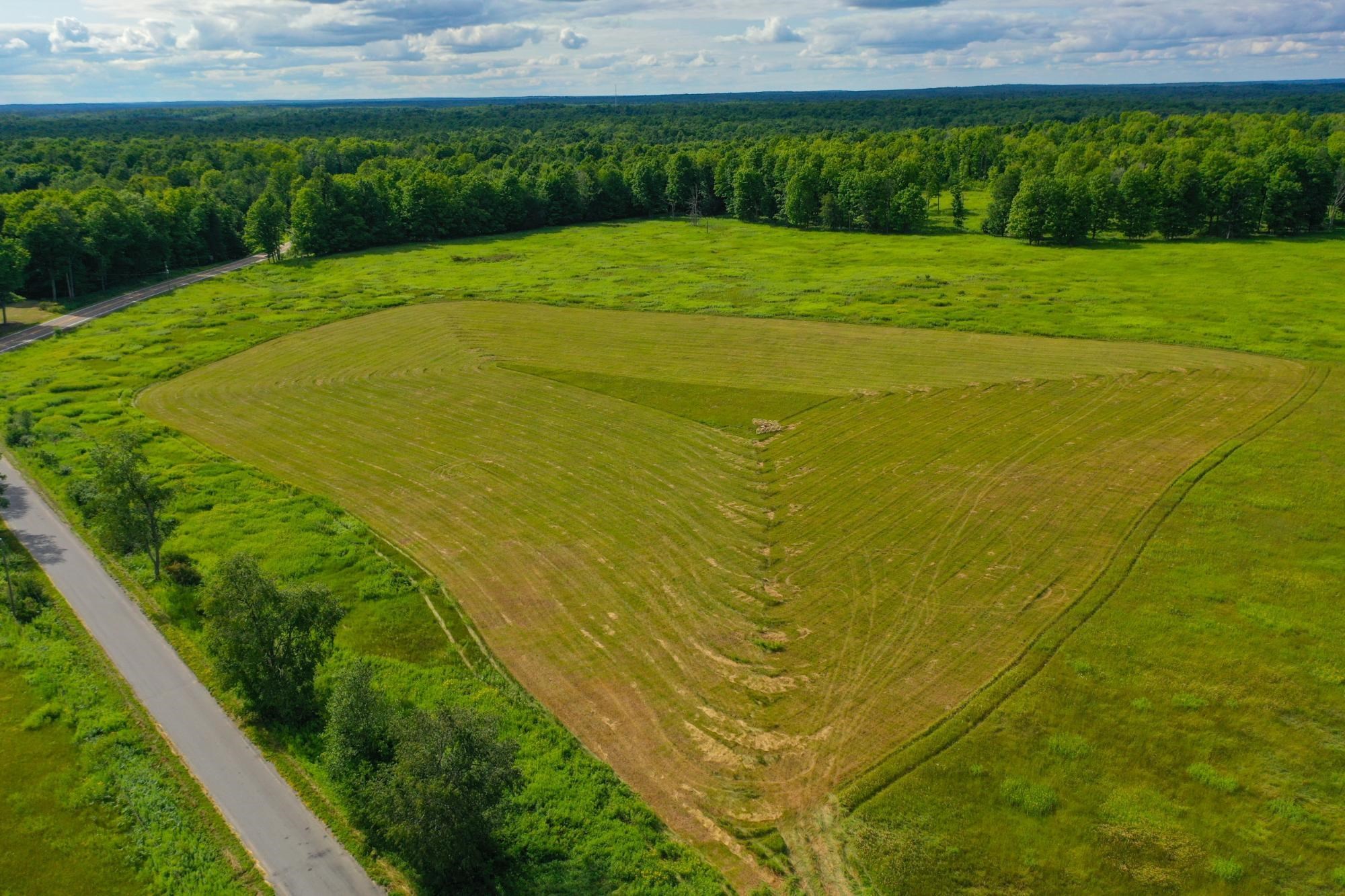 29.34 ACRES STATE HIGHWAY 55, Pickerel, Wisconsin 54465, ,Land,For Sale,29.34 ACRES STATE HIGHWAY 55,22603773