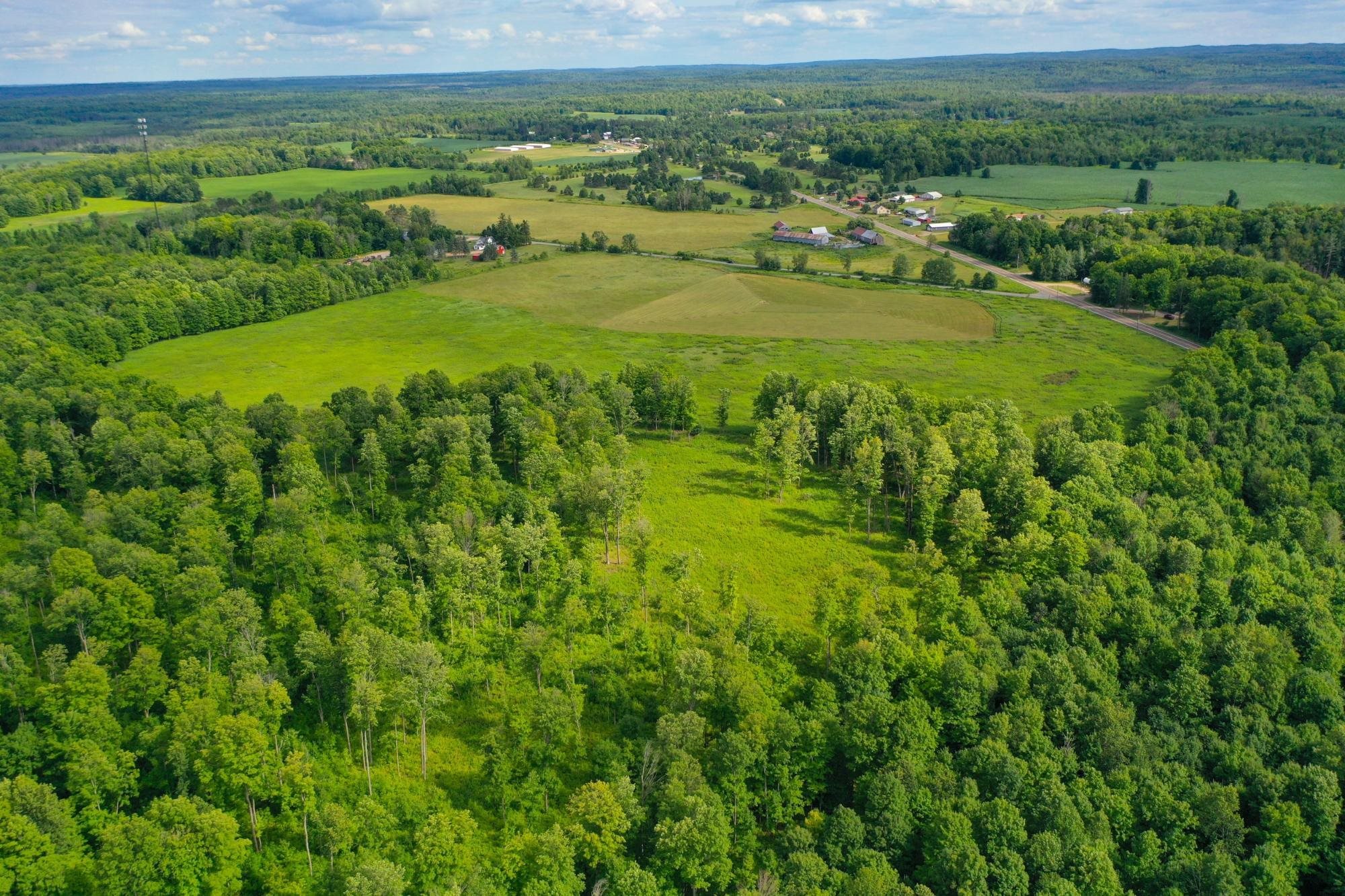 29.34 ACRES STATE HIGHWAY 55, Pickerel, Wisconsin 54465, ,Land,For Sale,29.34 ACRES STATE HIGHWAY 55,22603773