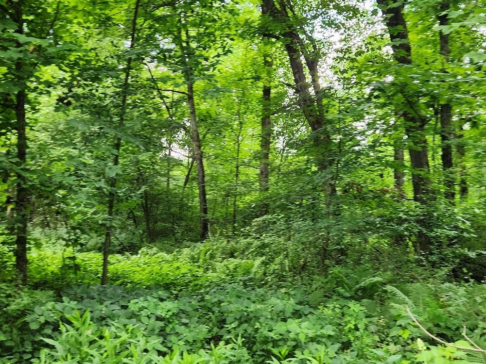 On DIETSCH ROAD, Athens, Wisconsin 54411, ,Land,For Sale,On DIETSCH ROAD,22603792