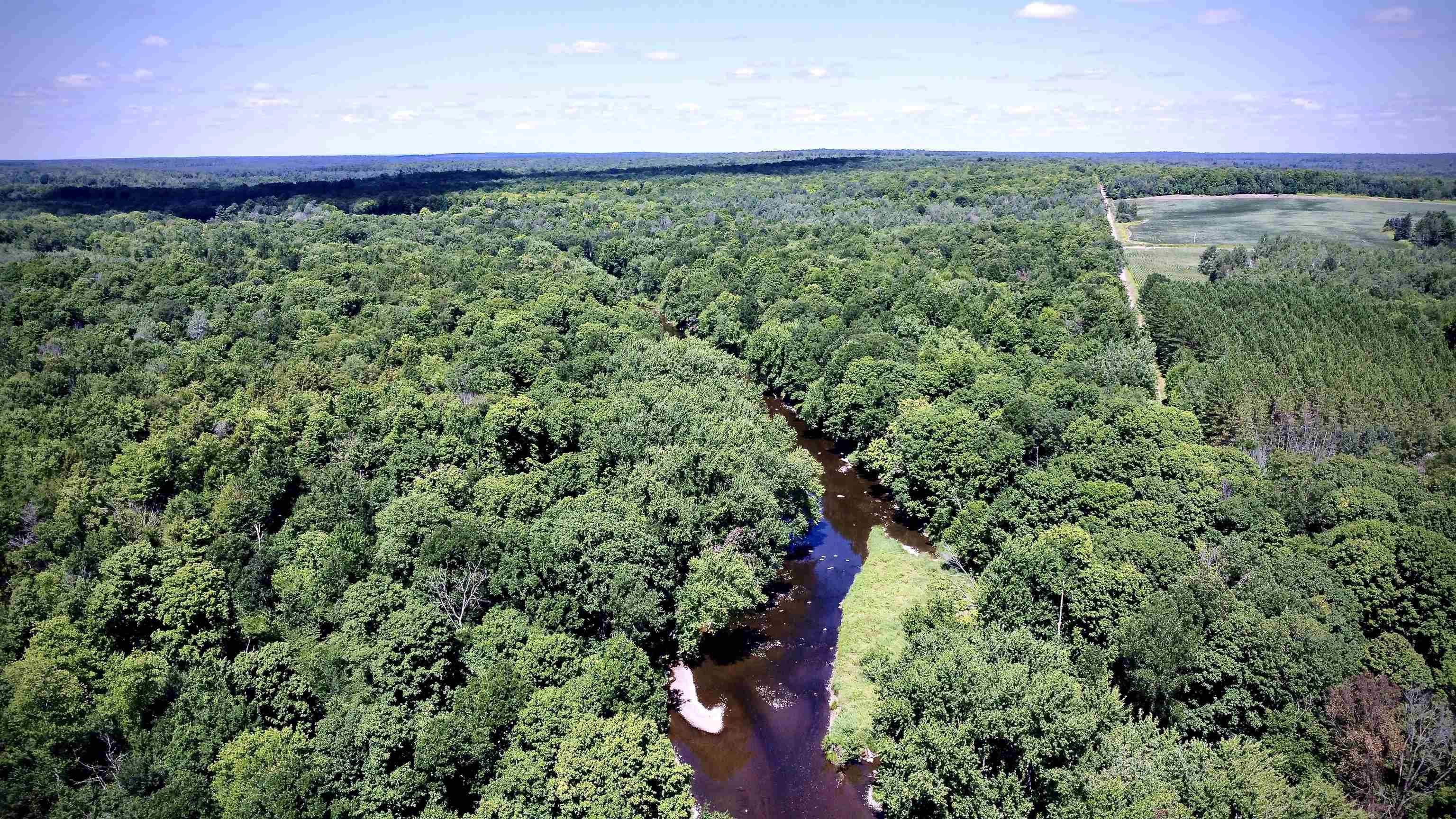 On DIETSCH ROAD, Athens, Wisconsin 54411, ,Land,For Sale,On DIETSCH ROAD,22603792