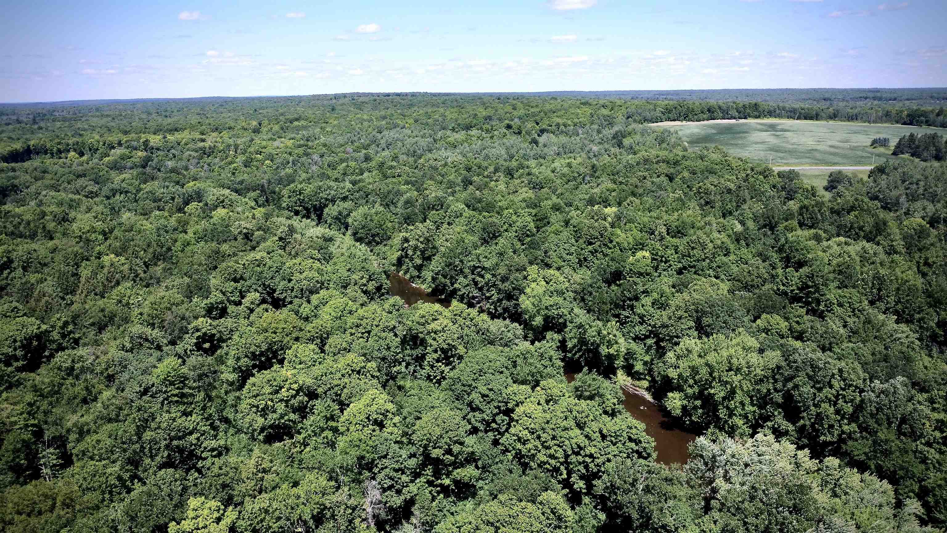On DIETSCH ROAD, Athens, Wisconsin 54411, ,Land,For Sale,On DIETSCH ROAD,22603792
