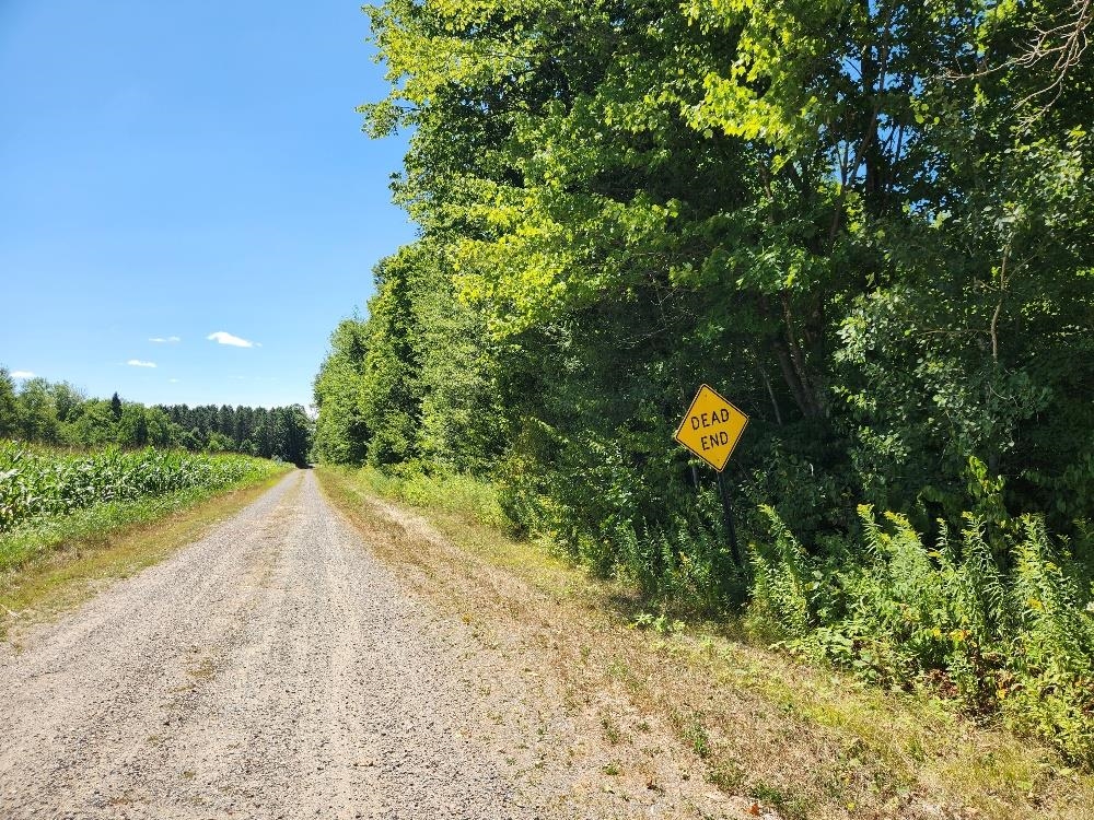 On DIETSCH ROAD, Athens, Wisconsin 54411, ,Land,For Sale,On DIETSCH ROAD,22603792