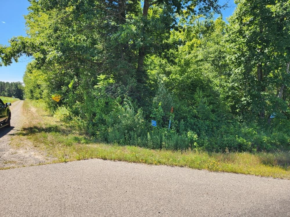 On DIETSCH ROAD, Athens, Wisconsin 54411, ,Land,For Sale,On DIETSCH ROAD,22603792