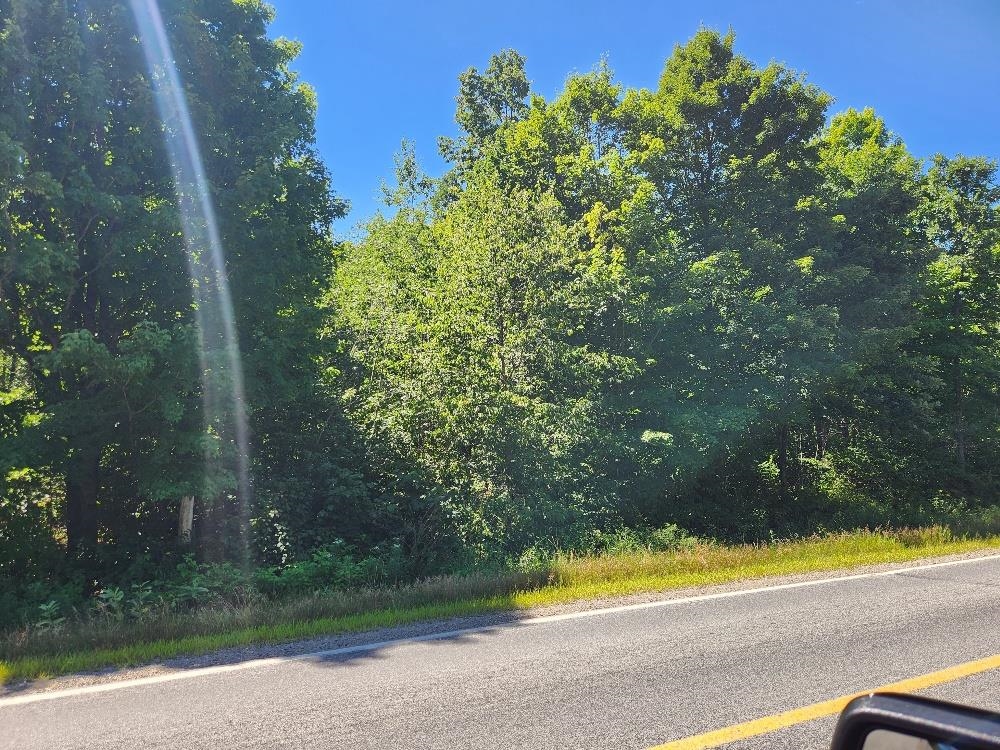 On DIETSCH ROAD, Athens, Wisconsin 54411, ,Land,For Sale,On DIETSCH ROAD,22603792