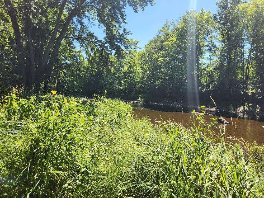 On DIETSCH ROAD, Athens, Wisconsin 54411, ,Land,For Sale,On DIETSCH ROAD,22603792
