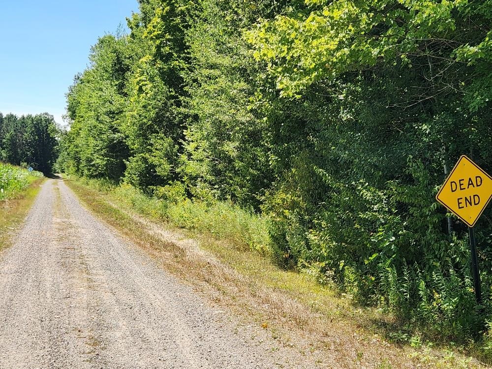 On DIETSCH ROAD, Athens, Wisconsin 54411, ,Land,For Sale,On DIETSCH ROAD,22603792