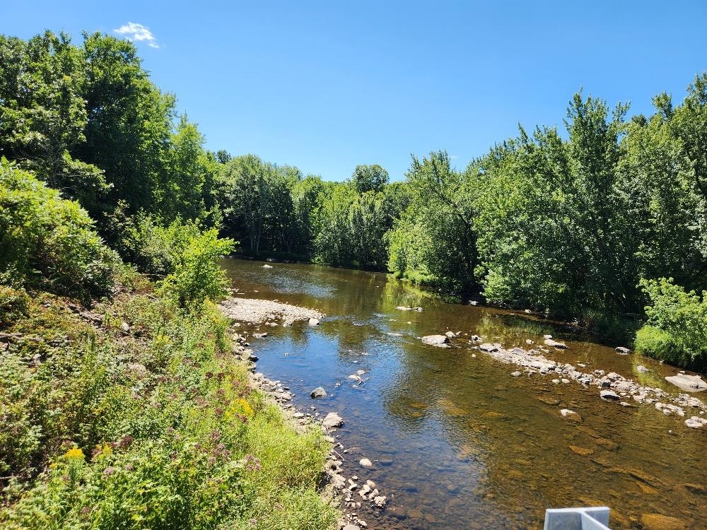 On DIETSCH ROAD, Athens, Wisconsin 54411, ,Land,For Sale,On DIETSCH ROAD,22603792