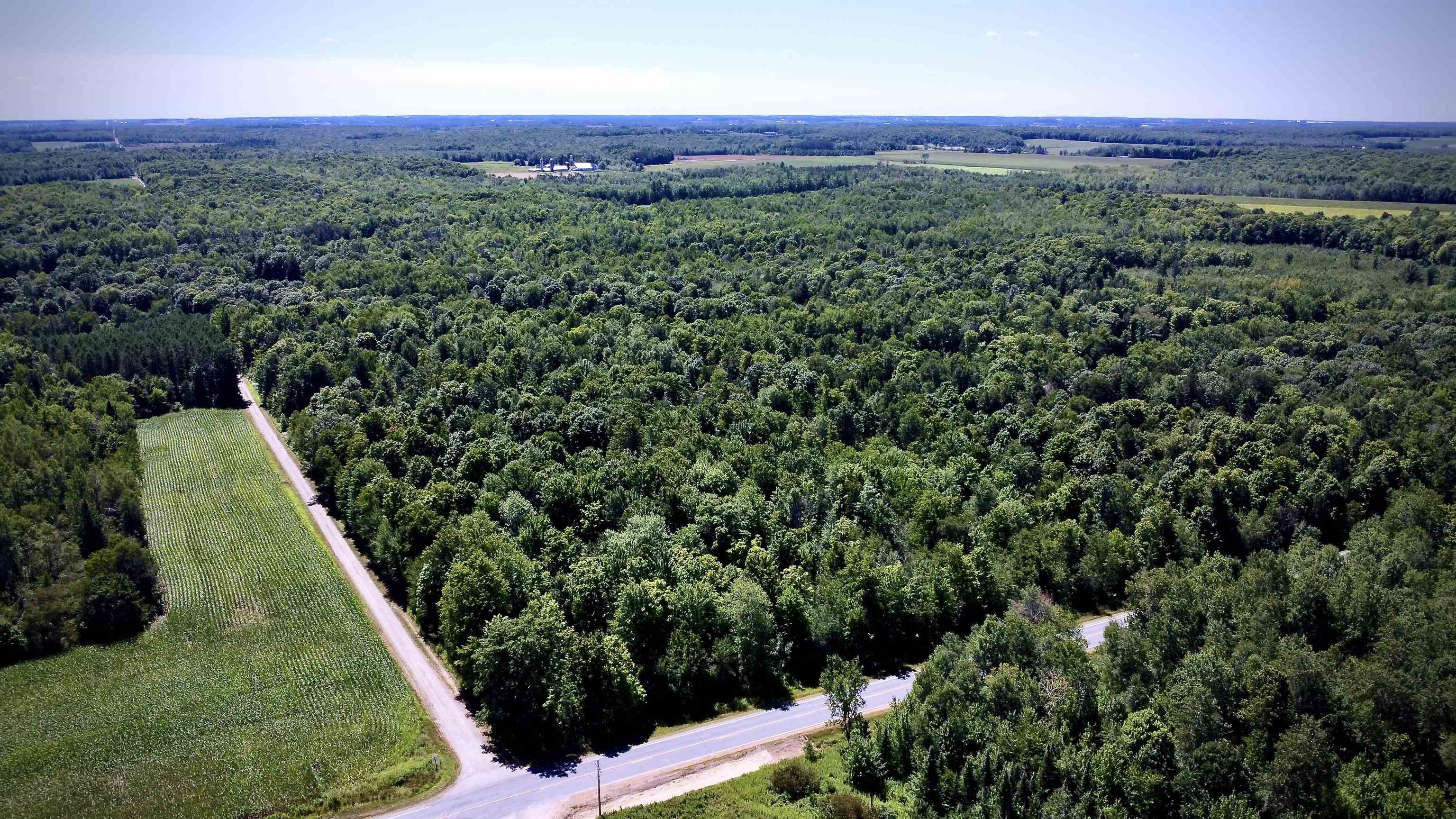 On DIETSCH ROAD, Athens, Wisconsin 54411, ,Land,For Sale,On DIETSCH ROAD,22603792