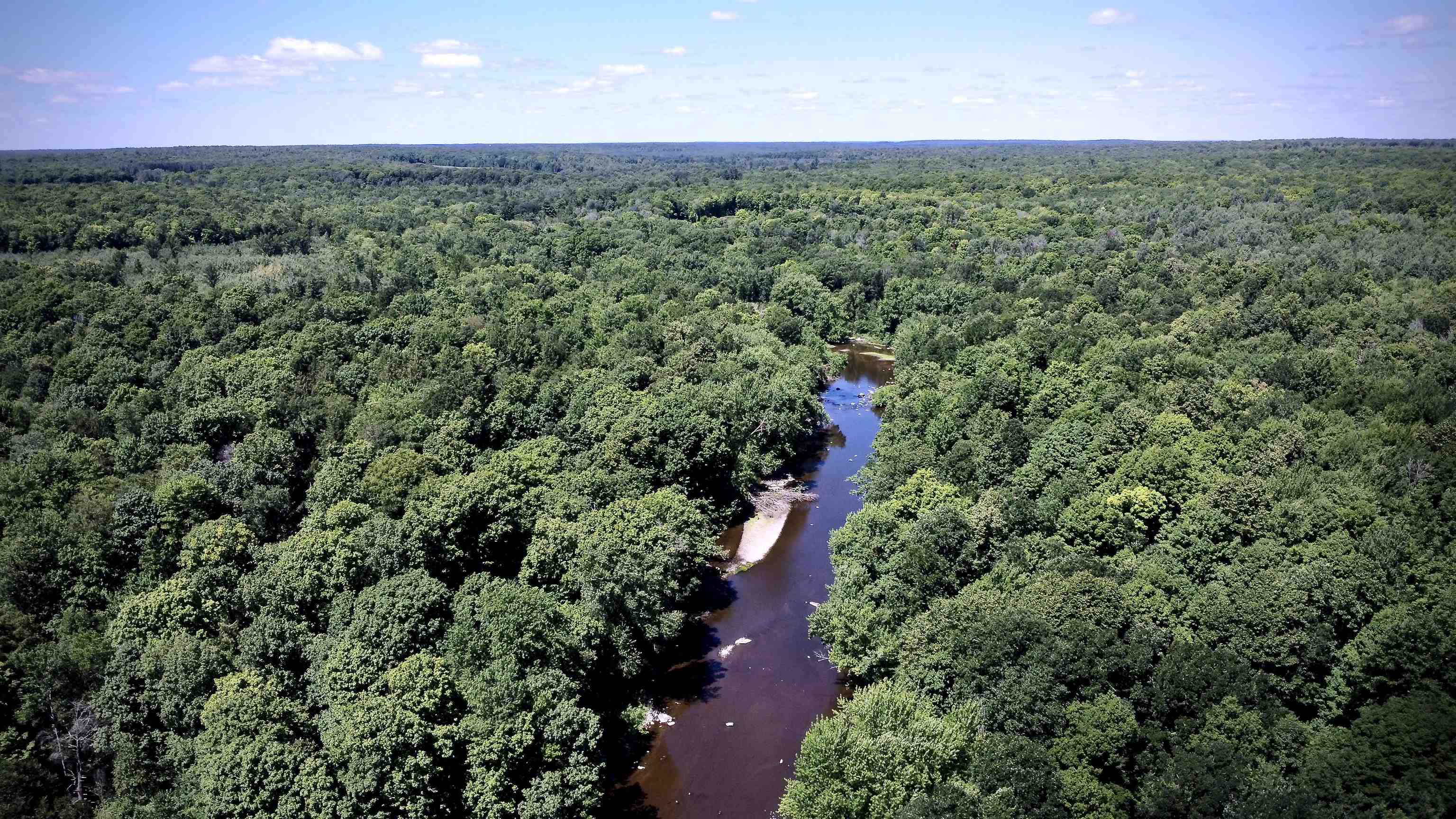 On DIETSCH ROAD, Athens, Wisconsin 54411, ,Land,For Sale,On DIETSCH ROAD,22603792