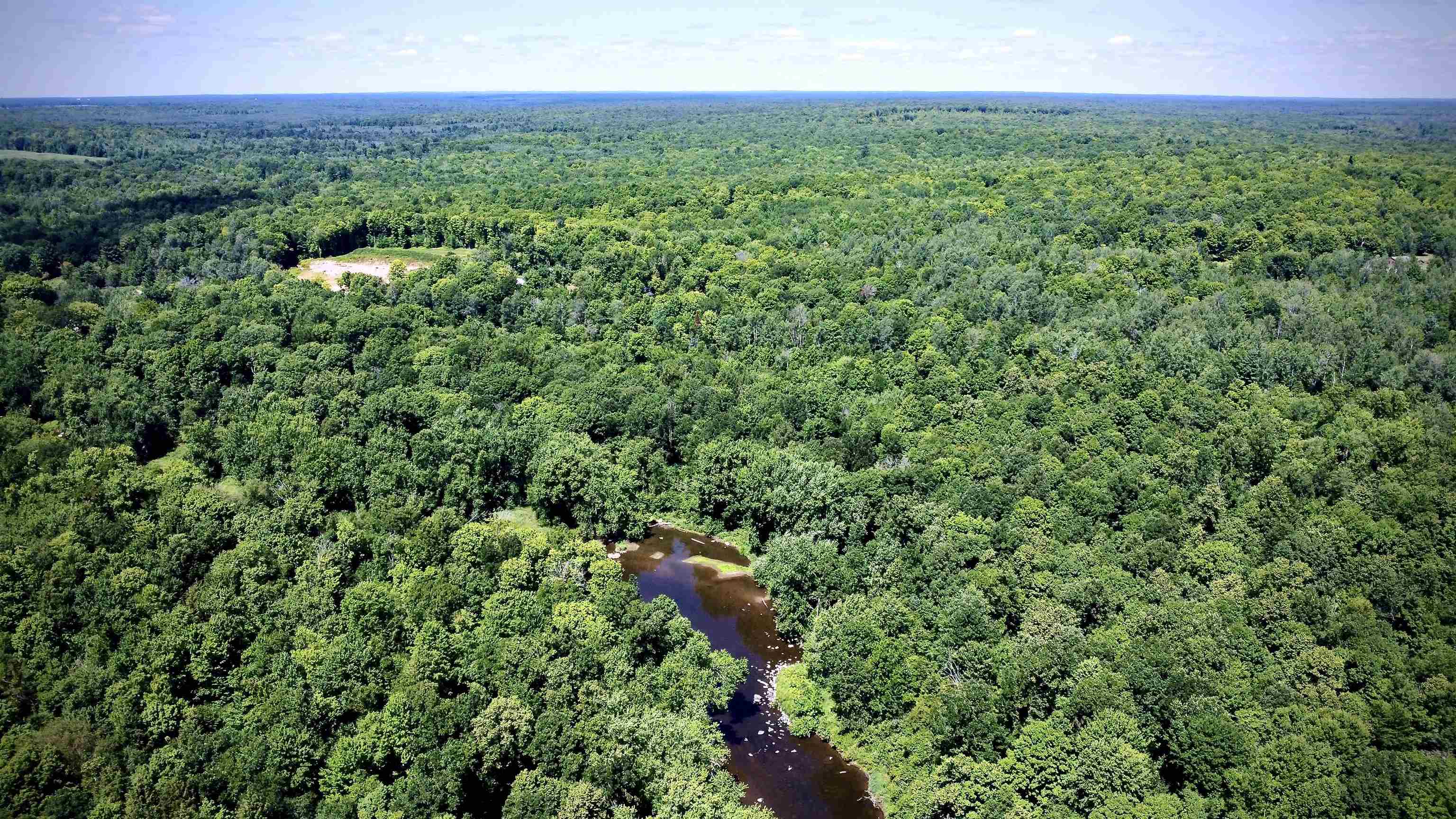 On DIETSCH ROAD, Athens, Wisconsin 54411, ,Land,For Sale,On DIETSCH ROAD,22603792