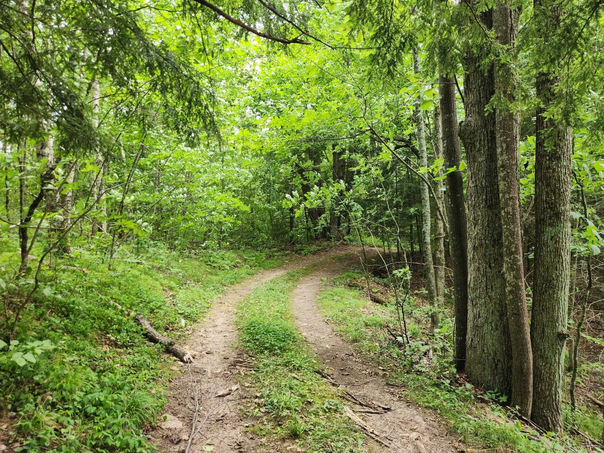 On YENTER LANE, Wittenberg, Wisconsin 54499, ,Land,For Sale,On YENTER LANE,22603794