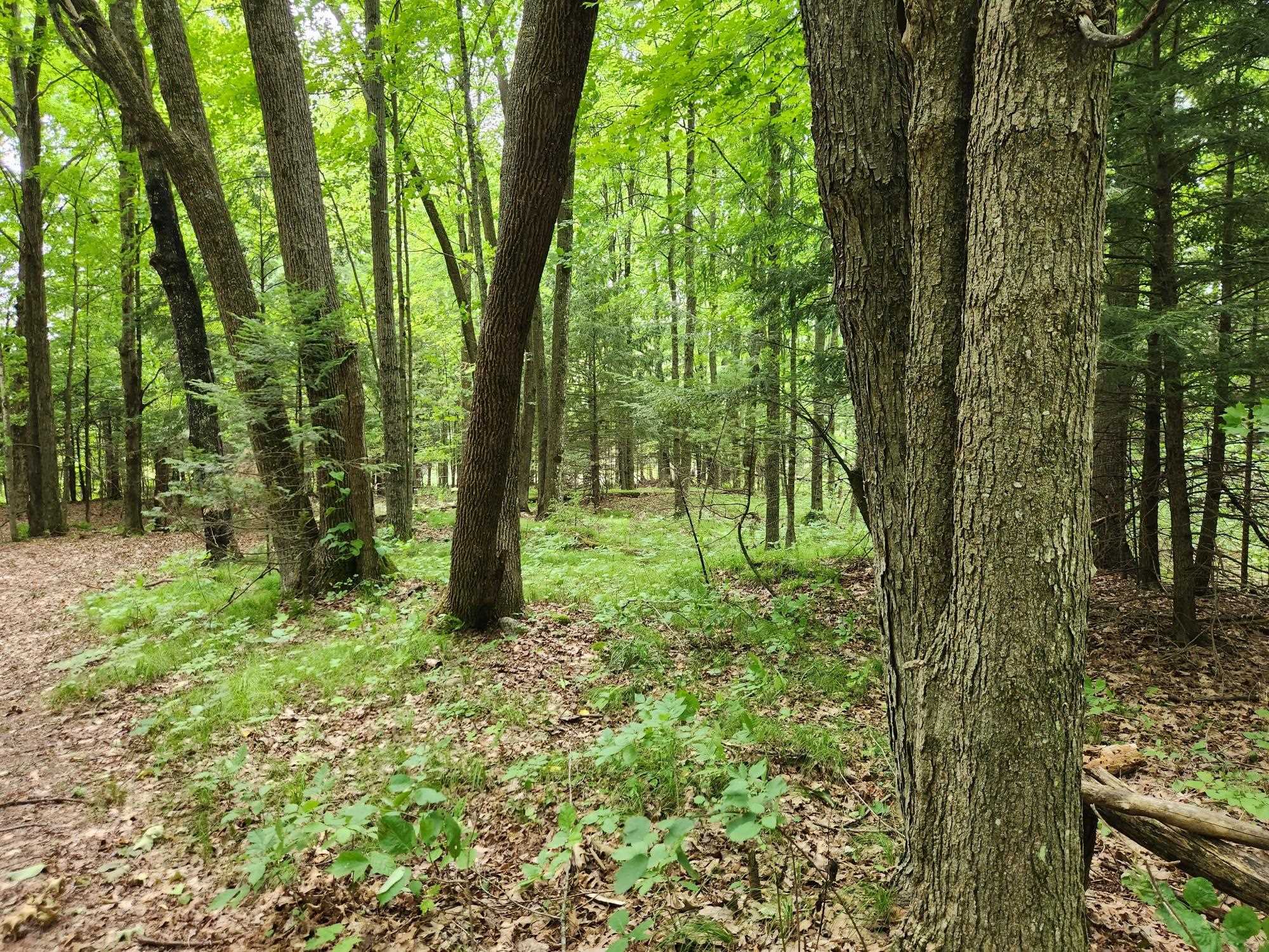 On YENTER LANE, Wittenberg, Wisconsin 54499, ,Land,For Sale,On YENTER LANE,22603794