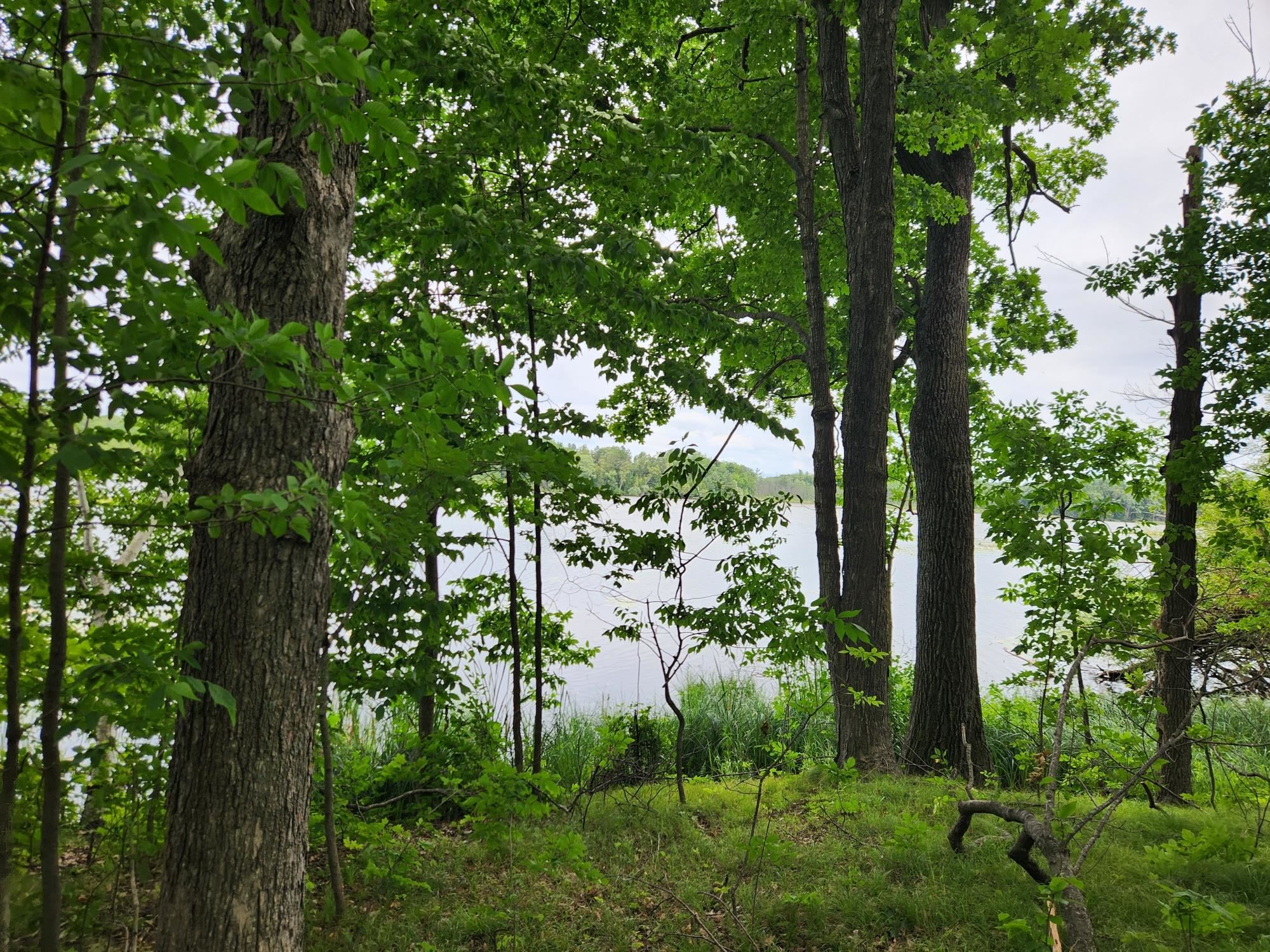 On YENTER LANE, Wittenberg, Wisconsin 54499, ,Land,For Sale,On YENTER LANE,22603794