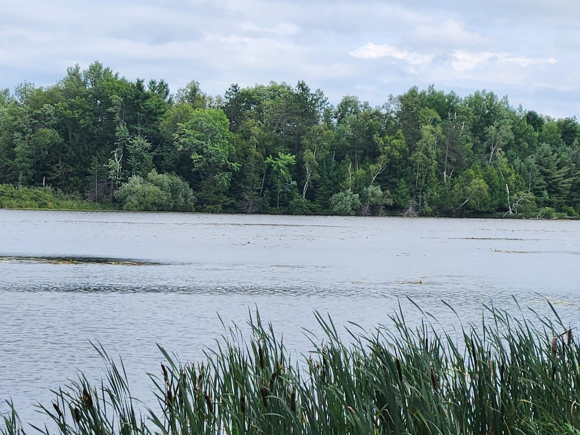 On YENTER LANE, Wittenberg, Wisconsin 54499, ,Land,For Sale,On YENTER LANE,22603794