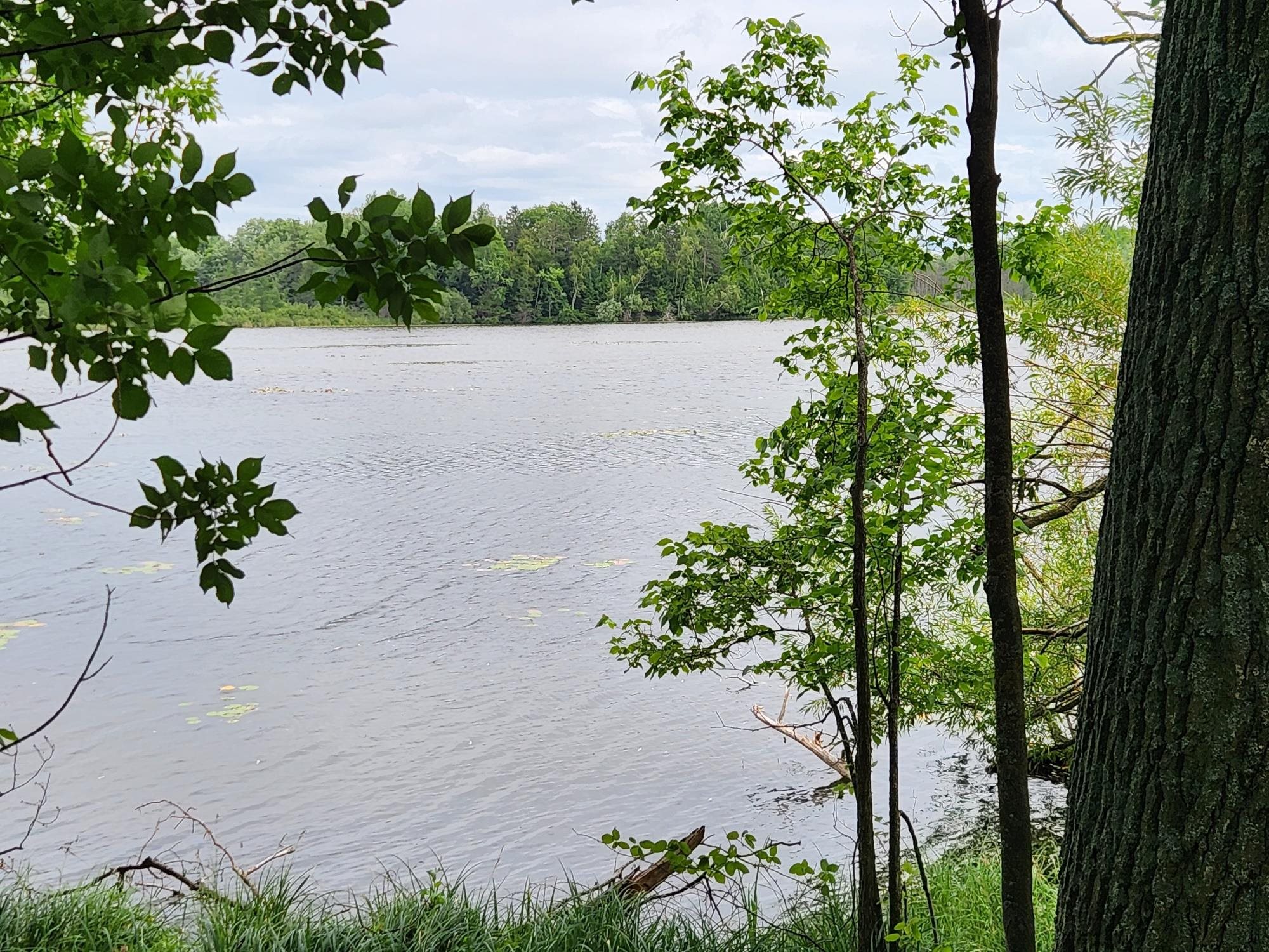On YENTER LANE, Wittenberg, Wisconsin 54499, ,Land,For Sale,On YENTER LANE,22603794