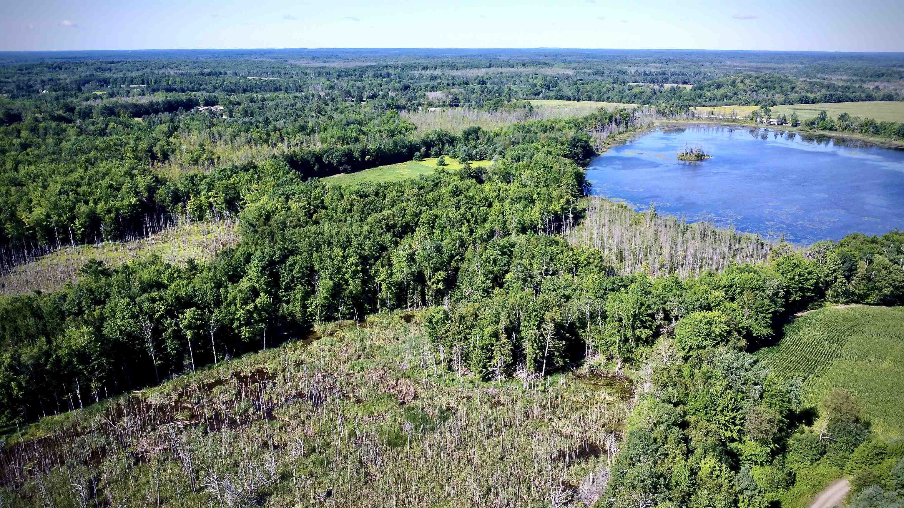 On YENTER LANE, Wittenberg, Wisconsin 54499, ,Land,For Sale,On YENTER LANE,22603794