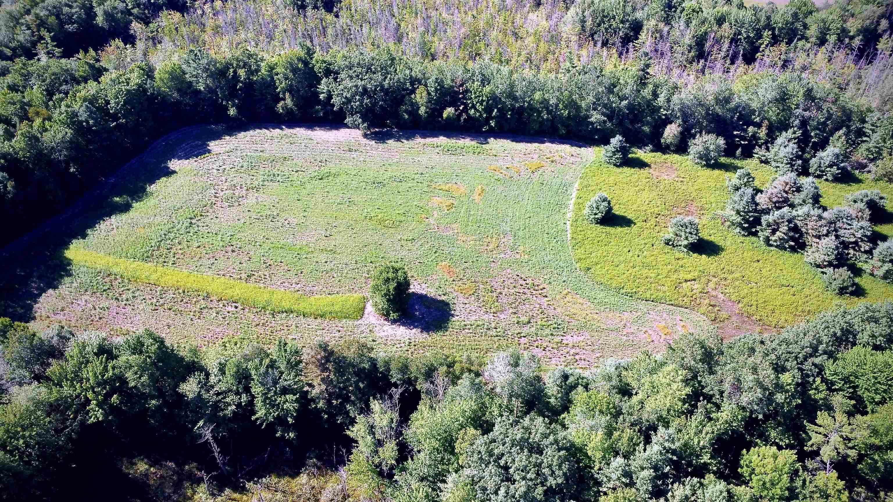 On YENTER LANE, Wittenberg, Wisconsin 54499, ,Land,For Sale,On YENTER LANE,22603794