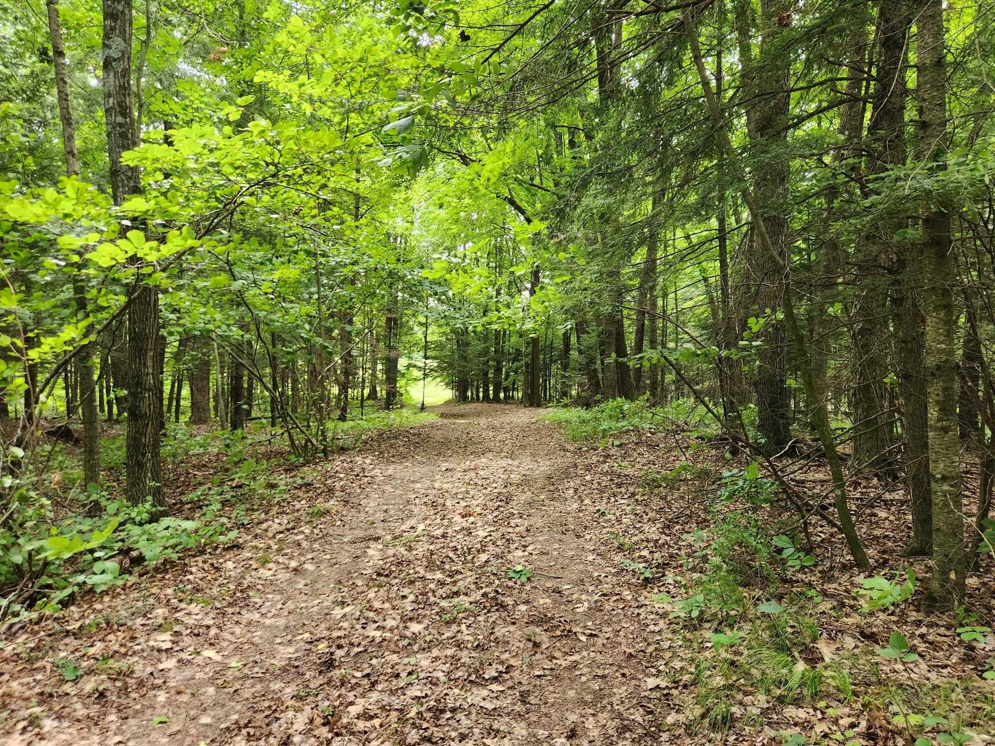 On YENTER LANE, Wittenberg, Wisconsin 54499, ,Land,For Sale,On YENTER LANE,22603794