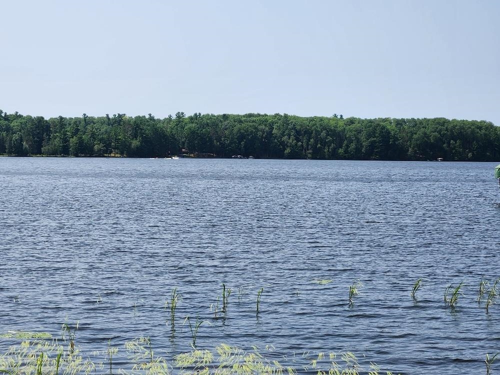 On YENTER LANE, Wittenberg, Wisconsin 54499, ,Land,For Sale,On YENTER LANE,22603794