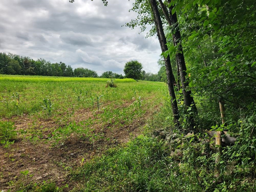 On YENTER LANE, Wittenberg, Wisconsin 54499, ,Land,For Sale,On YENTER LANE,22603794