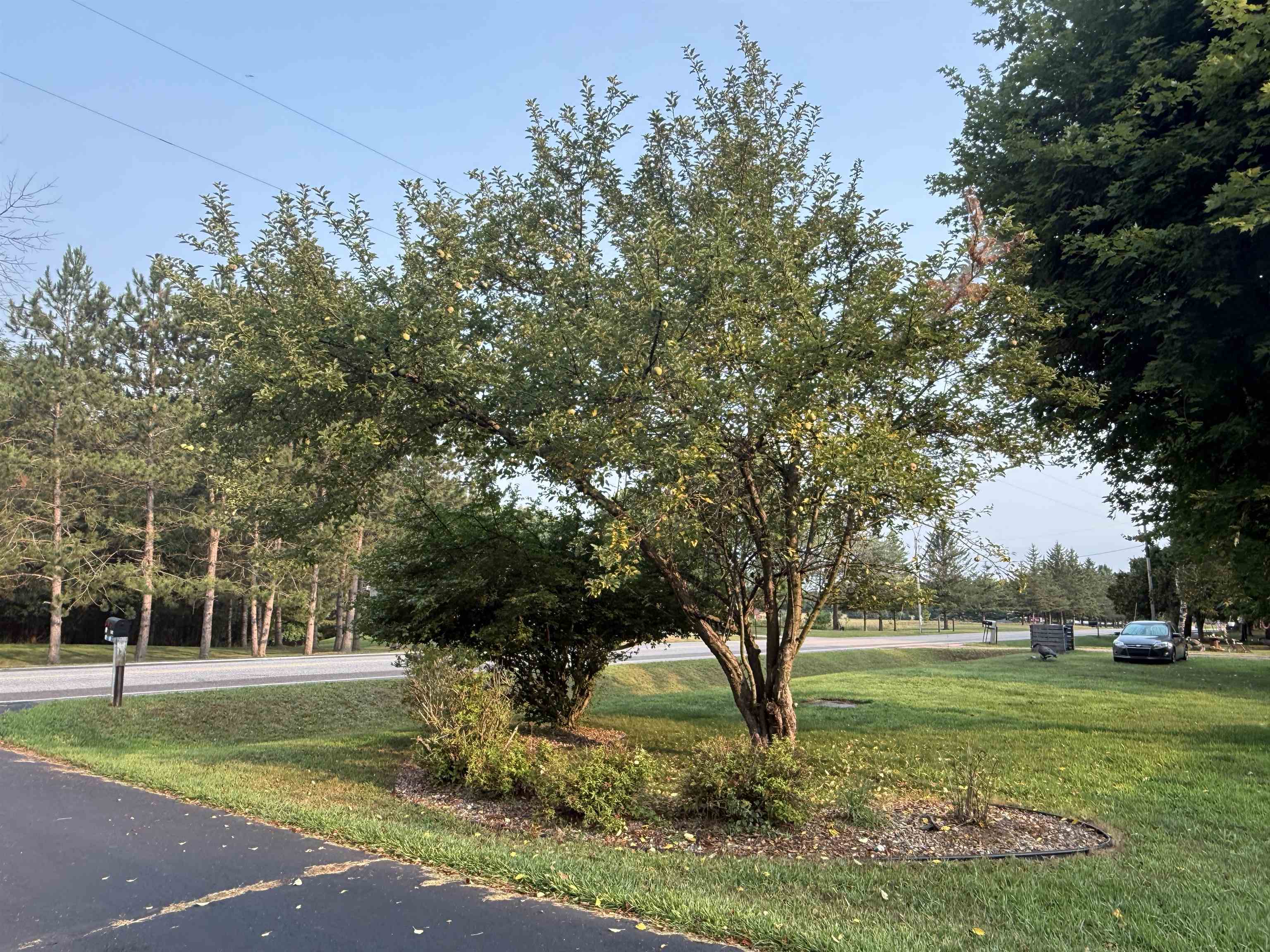 N7734 COUNTY ROAD J, Iola, Wisconsin 54085, 2 Bedrooms Bedrooms, ,1 BathroomBathrooms,Residential,For Sale,N7734 COUNTY ROAD J,22603802