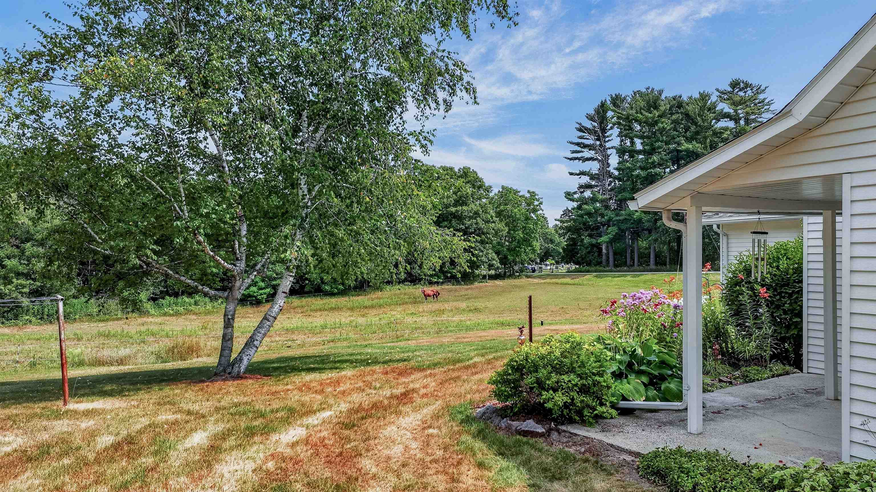 N8481 KLEBA ROAD, Hixton, Wisconsin 54635, 3 Bedrooms Bedrooms, ,1 BathroomBathrooms,Residential,For Sale,N8481 KLEBA ROAD,22603824
