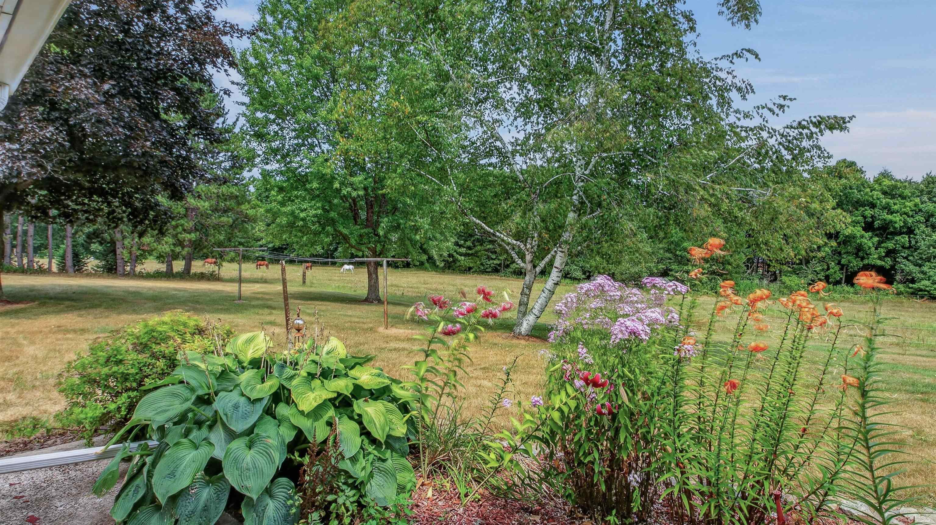 N8481 KLEBA ROAD, Hixton, Wisconsin 54635, 3 Bedrooms Bedrooms, ,1 BathroomBathrooms,Residential,For Sale,N8481 KLEBA ROAD,22603824