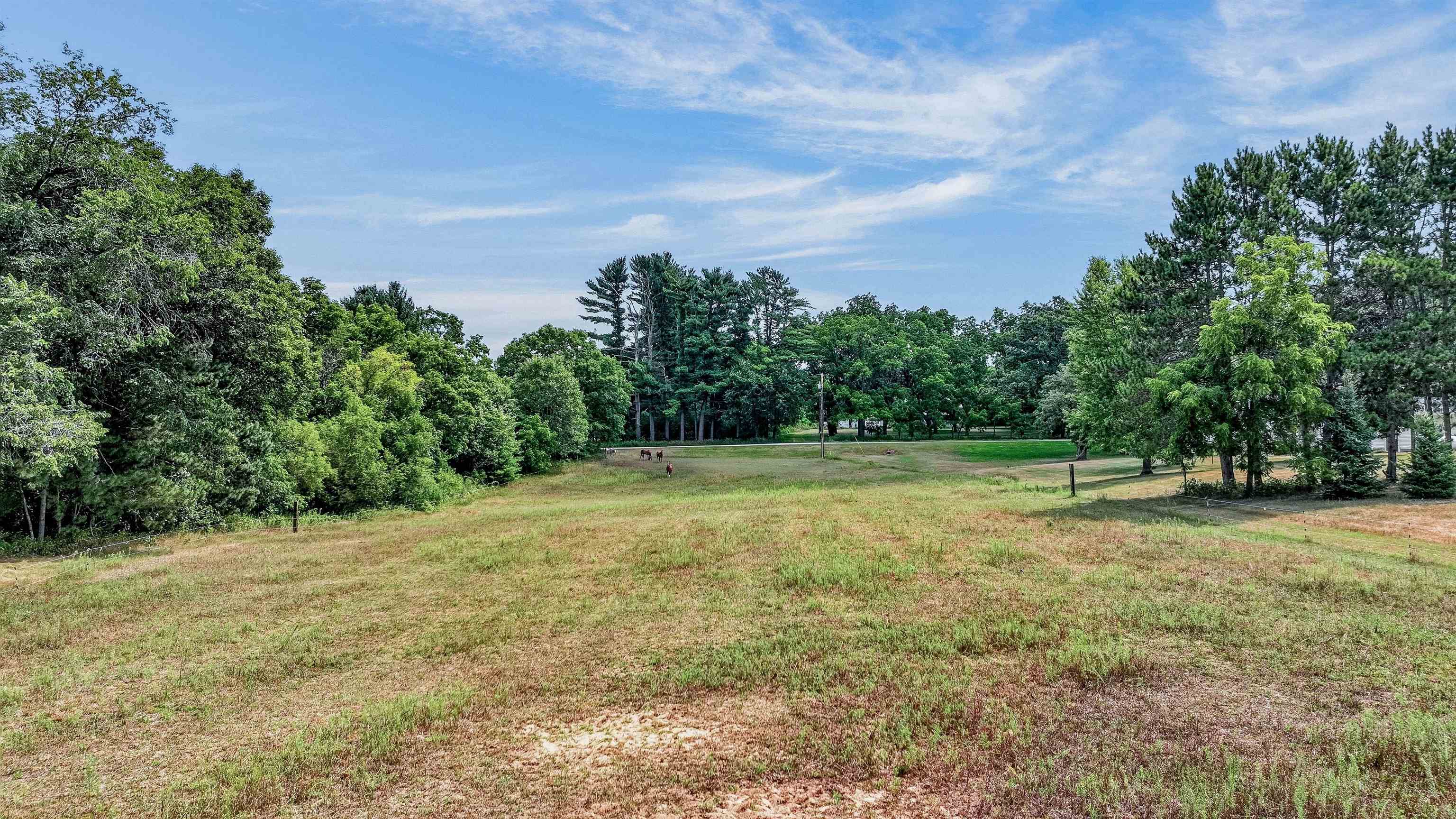 N8481 KLEBA ROAD, Hixton, Wisconsin 54635, 3 Bedrooms Bedrooms, ,1 BathroomBathrooms,Residential,For Sale,N8481 KLEBA ROAD,22603824