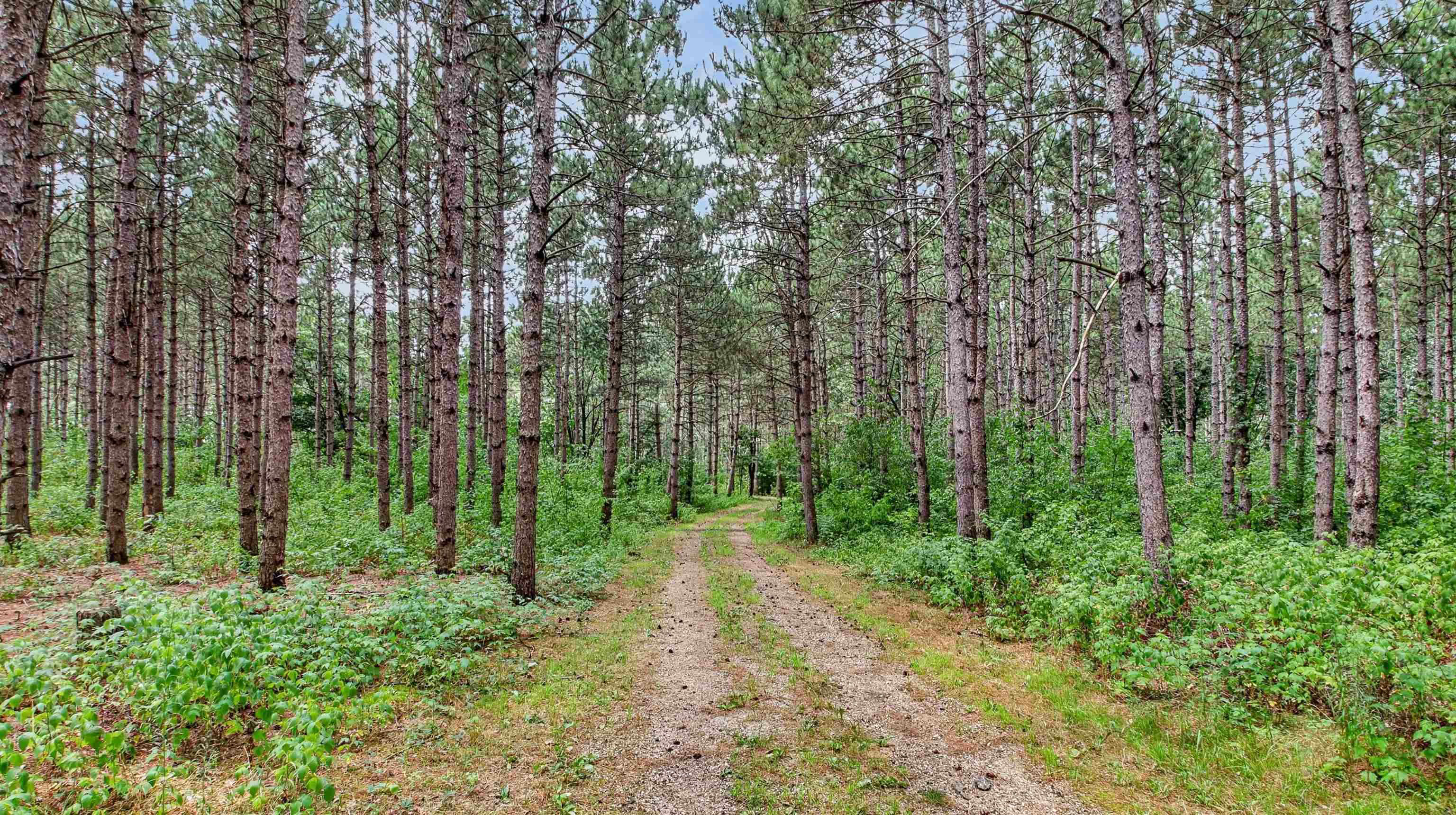 N8481 KLEBA ROAD, Hixton, Wisconsin 54635, 3 Bedrooms Bedrooms, ,1 BathroomBathrooms,Residential,For Sale,N8481 KLEBA ROAD,22603824