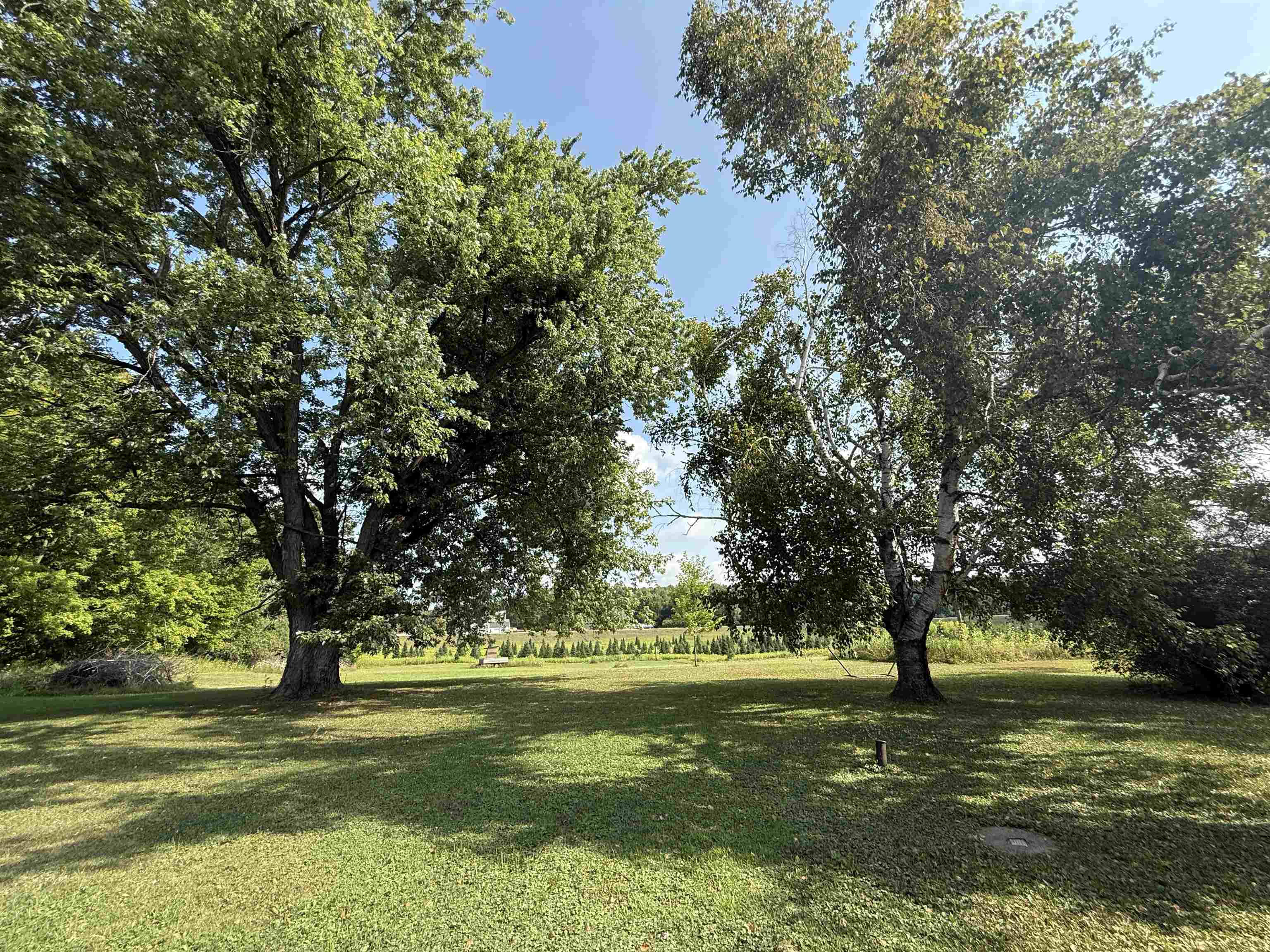 N6454 ROBIN ROAD, Wittenberg, Wisconsin 54499, 5 Bedrooms Bedrooms, ,1 BathroomBathrooms,Residential,For Sale,N6454 ROBIN ROAD,22603825