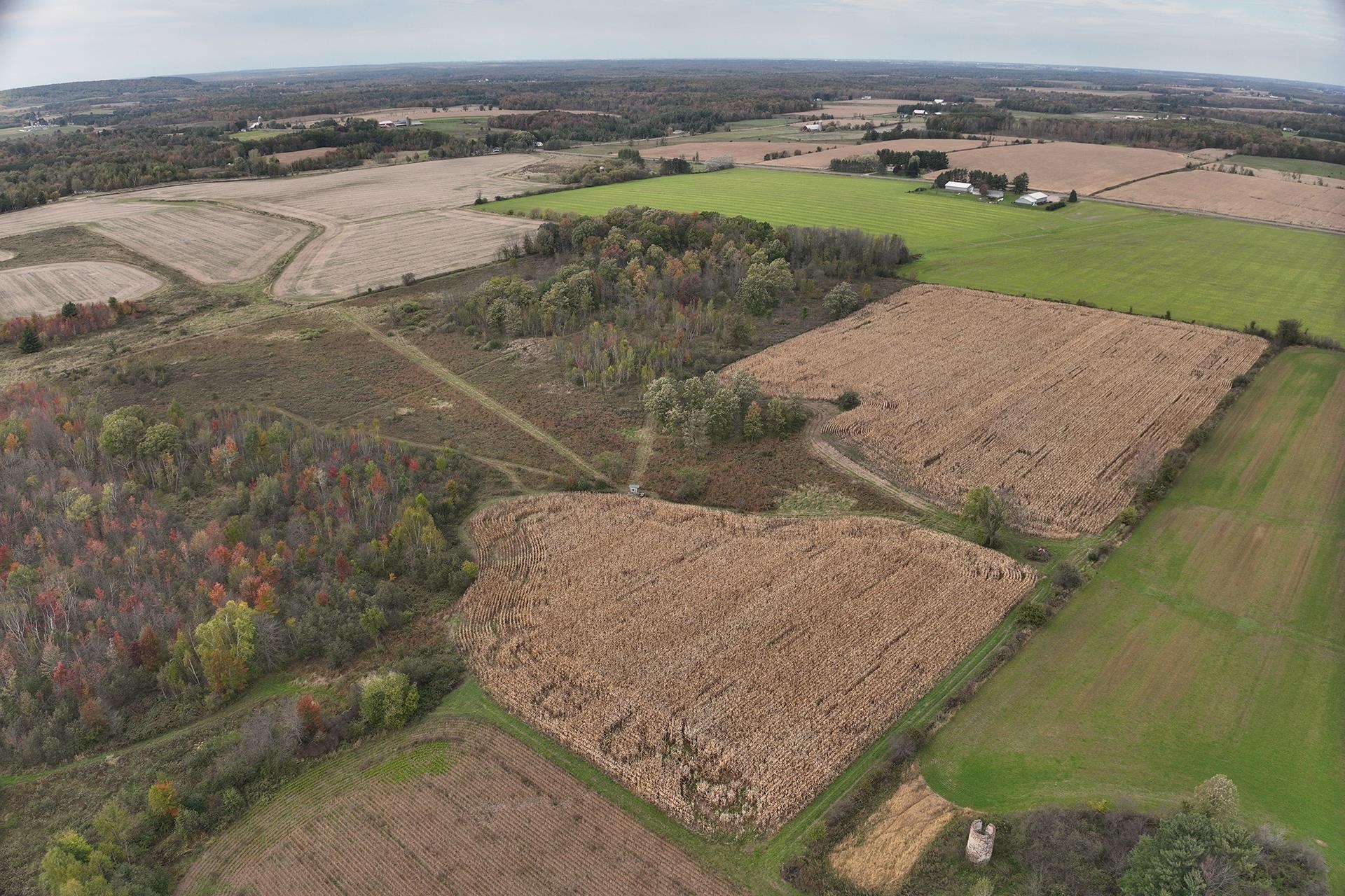 42.610 acres COUNTY ROAD O, Greenwood, Wisconsin 54437, ,Land,For Sale,42.610 acres COUNTY ROAD O,22603833