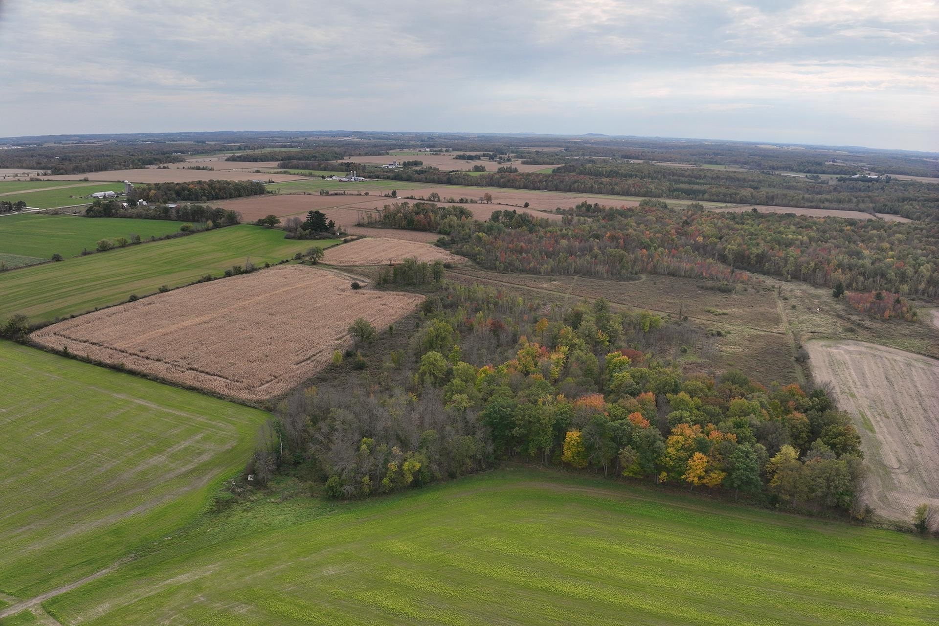 42.610 acres COUNTY ROAD O, Greenwood, Wisconsin 54437, ,Land,For Sale,42.610 acres COUNTY ROAD O,22603833
