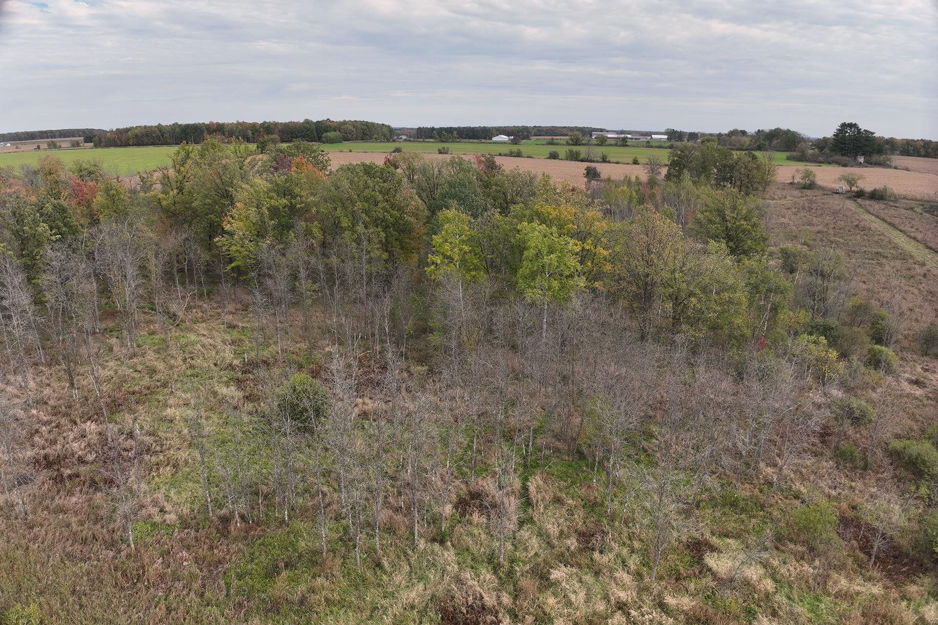 42.610 acres COUNTY ROAD O, Greenwood, Wisconsin 54437, ,Land,For Sale,42.610 acres COUNTY ROAD O,22603833