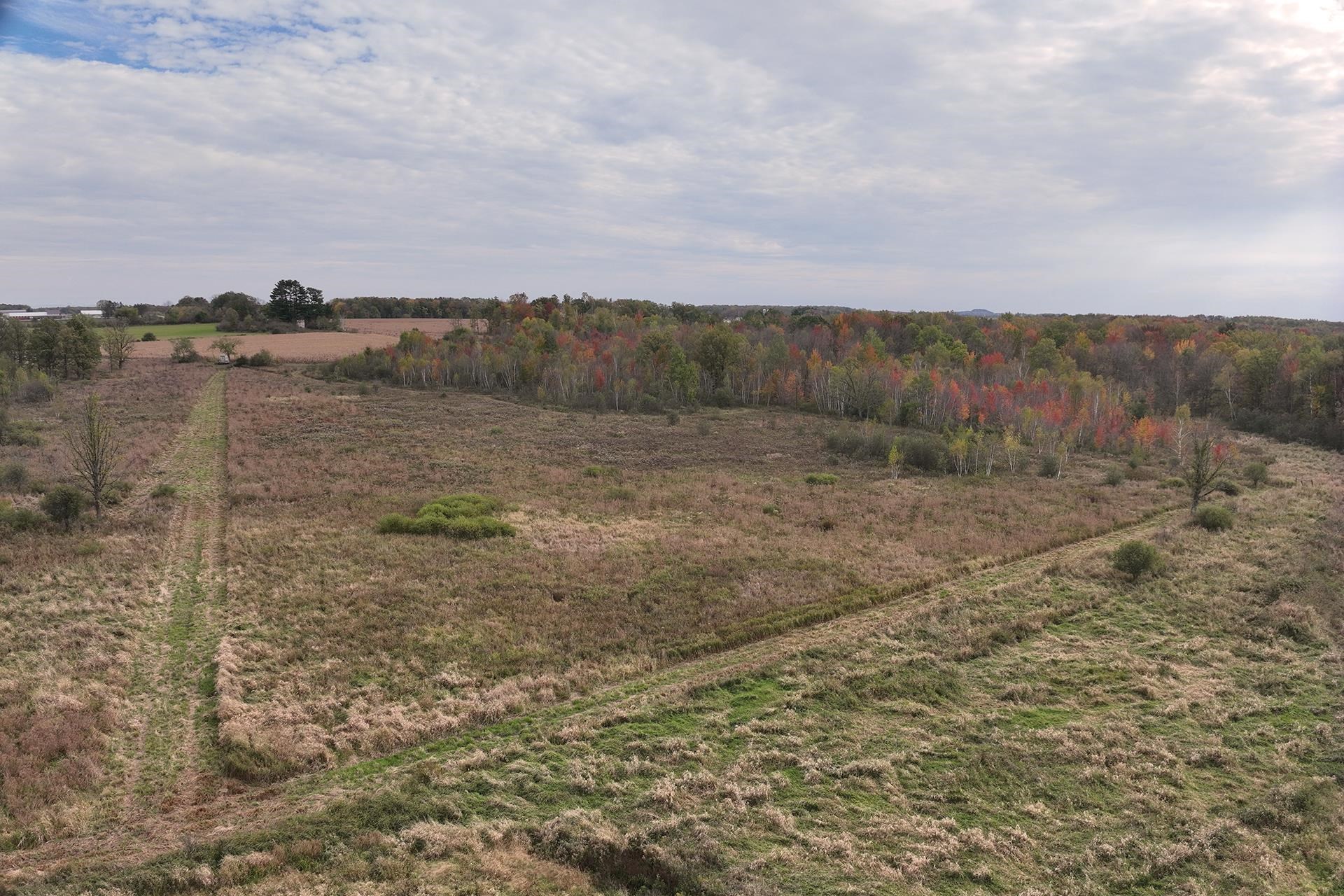 42.610 acres COUNTY ROAD O, Greenwood, Wisconsin 54437, ,Land,For Sale,42.610 acres COUNTY ROAD O,22603833