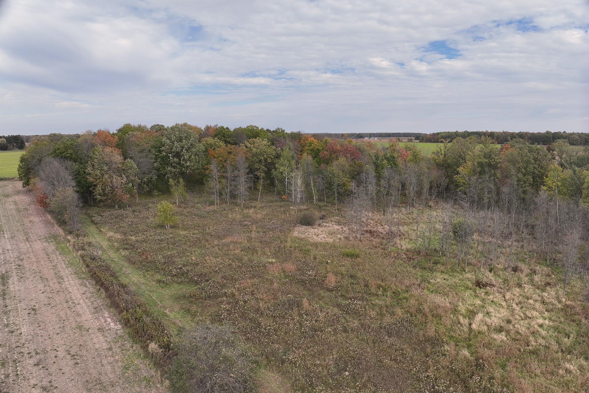 42.610 acres COUNTY ROAD O, Greenwood, Wisconsin 54437, ,Land,For Sale,42.610 acres COUNTY ROAD O,22603833
