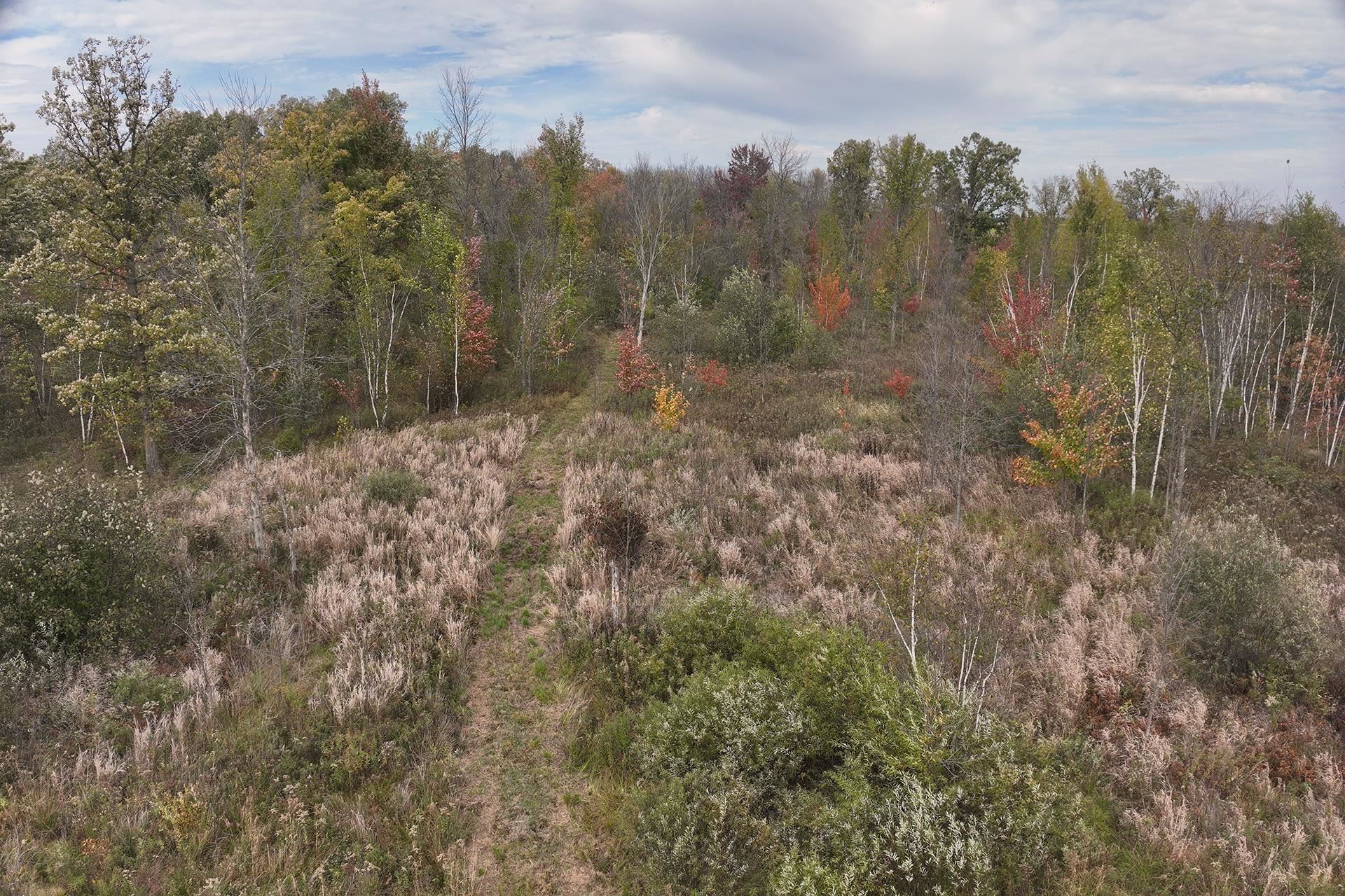 42.610 acres COUNTY ROAD O, Greenwood, Wisconsin 54437, ,Land,For Sale,42.610 acres COUNTY ROAD O,22603833