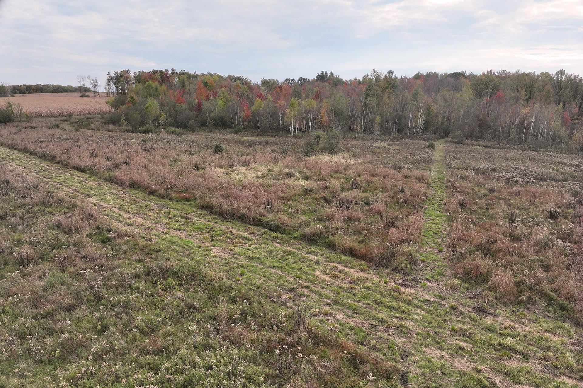 42.610 acres COUNTY ROAD O, Greenwood, Wisconsin 54437, ,Land,For Sale,42.610 acres COUNTY ROAD O,22603833