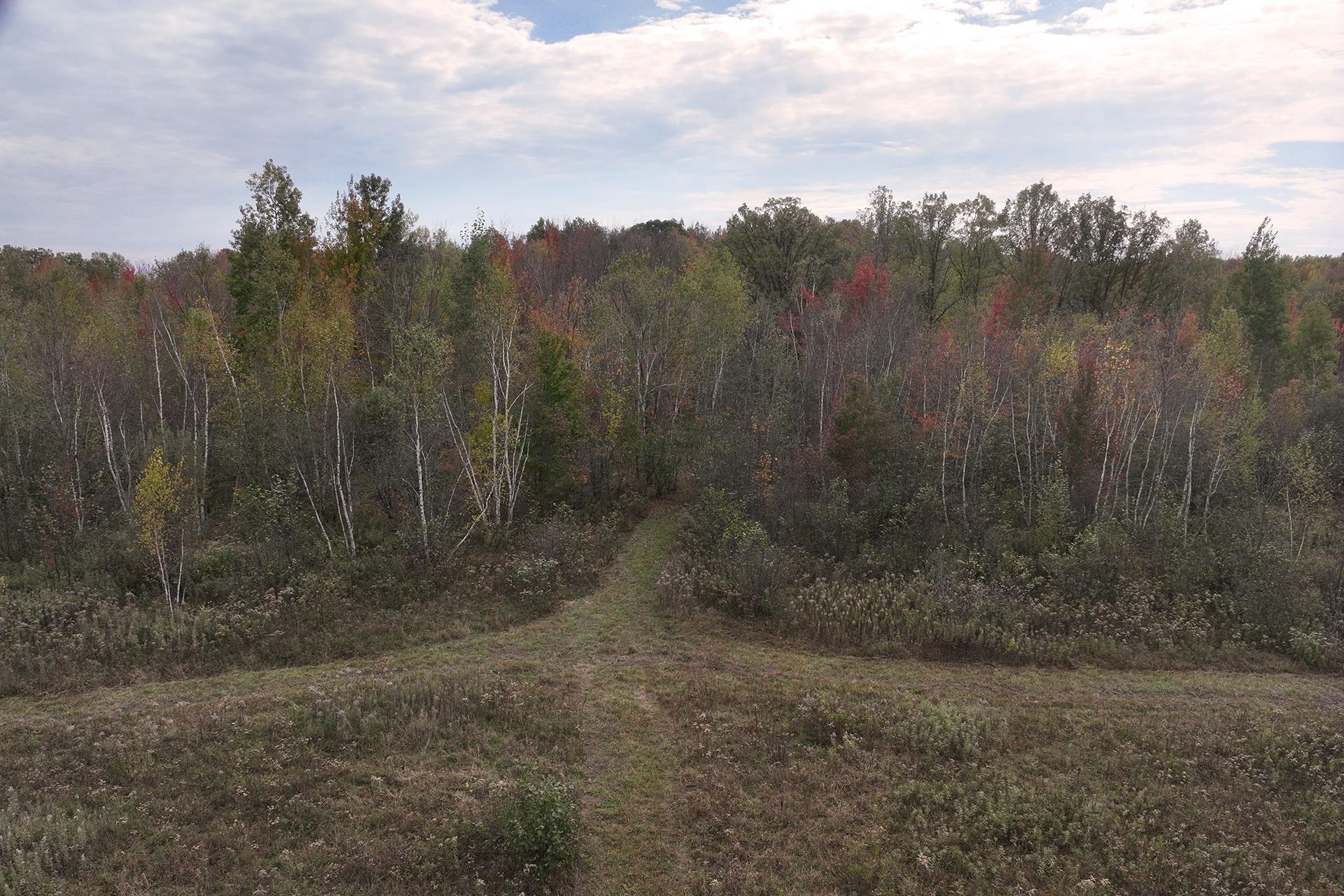 42.610 acres COUNTY ROAD O, Greenwood, Wisconsin 54437, ,Land,For Sale,42.610 acres COUNTY ROAD O,22603833