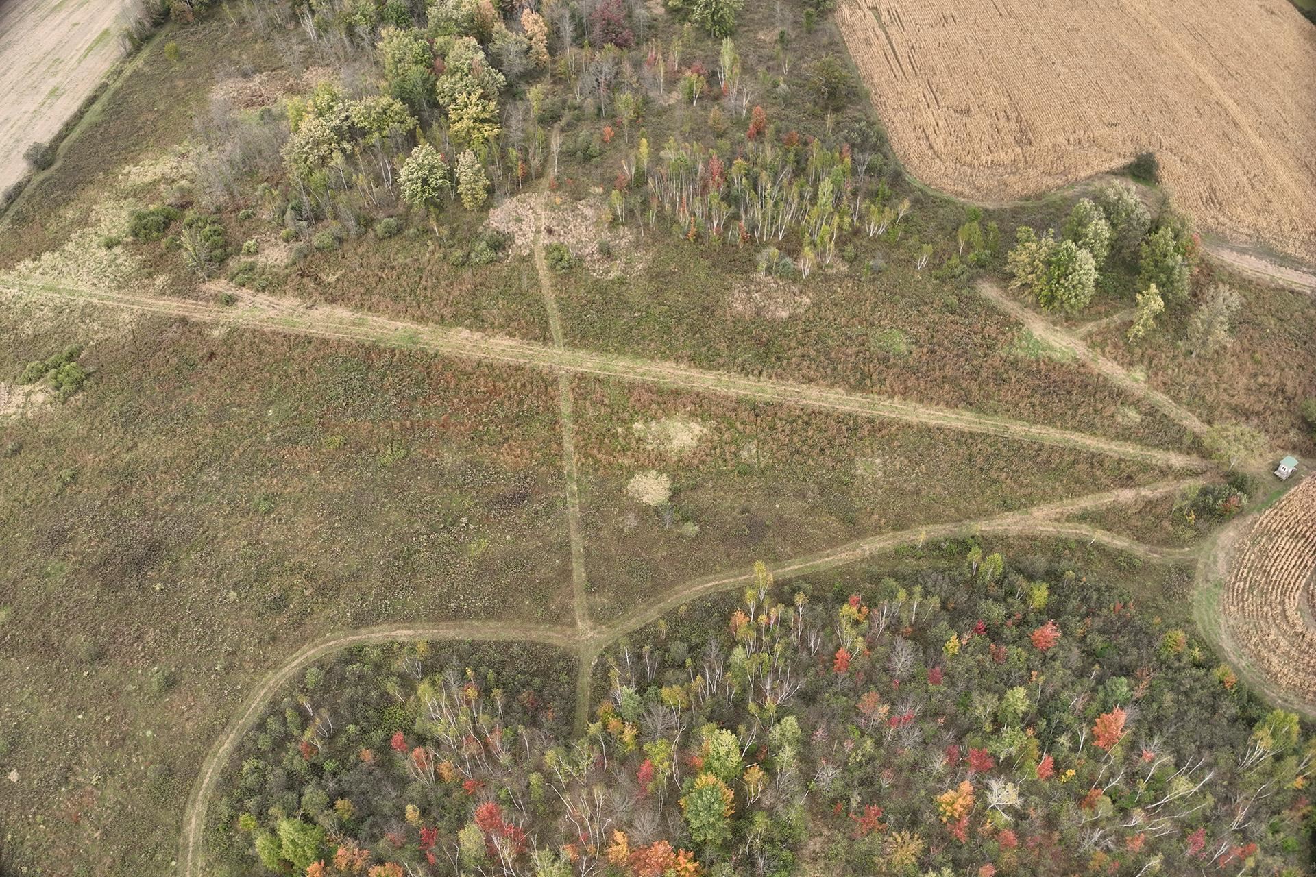42.610 acres COUNTY ROAD O, Greenwood, Wisconsin 54437, ,Land,For Sale,42.610 acres COUNTY ROAD O,22603833